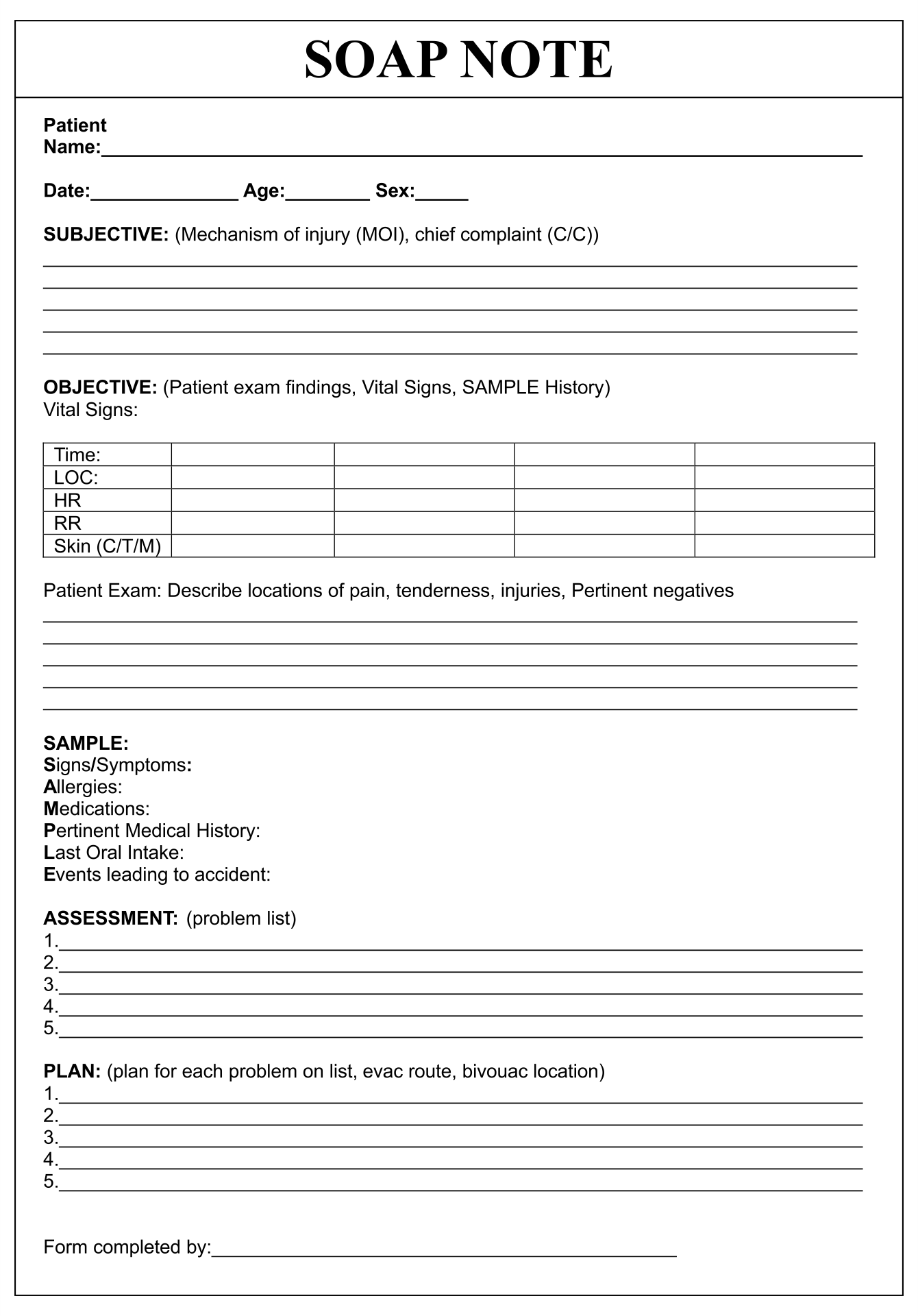 Free Printable Soap Notes
