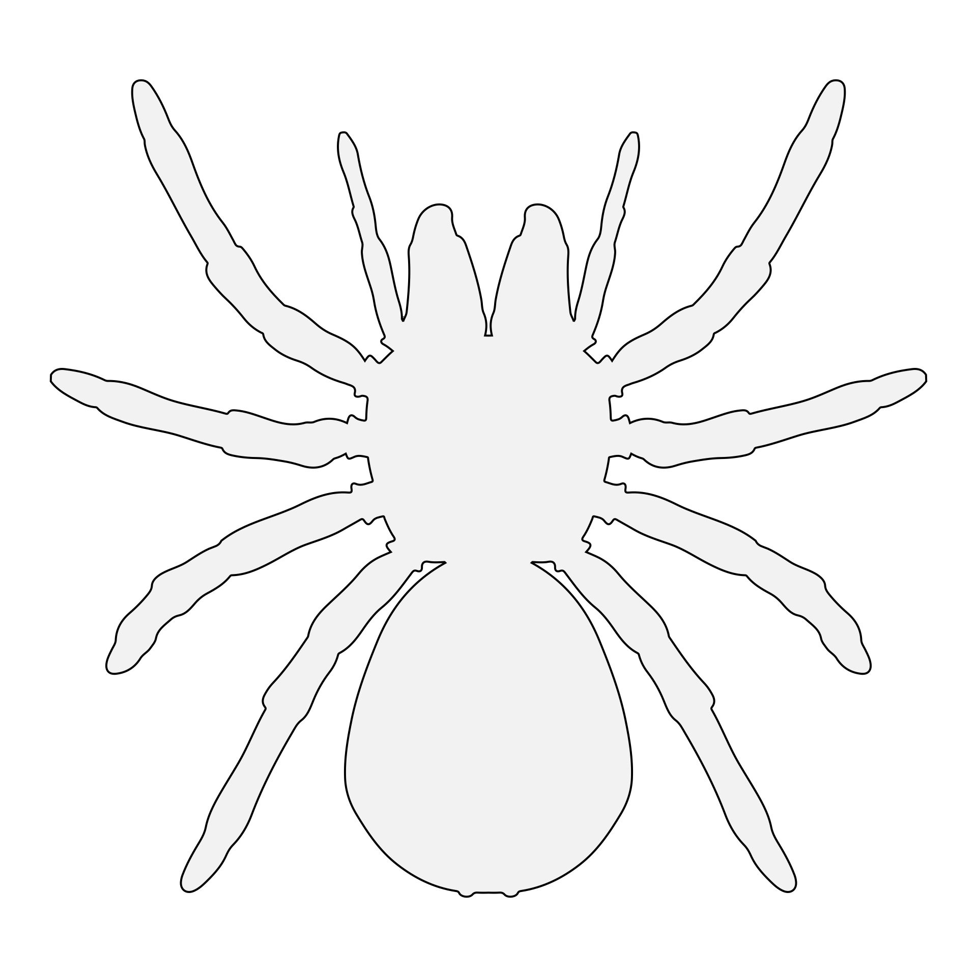 Halloween Spider Cut Out Templates