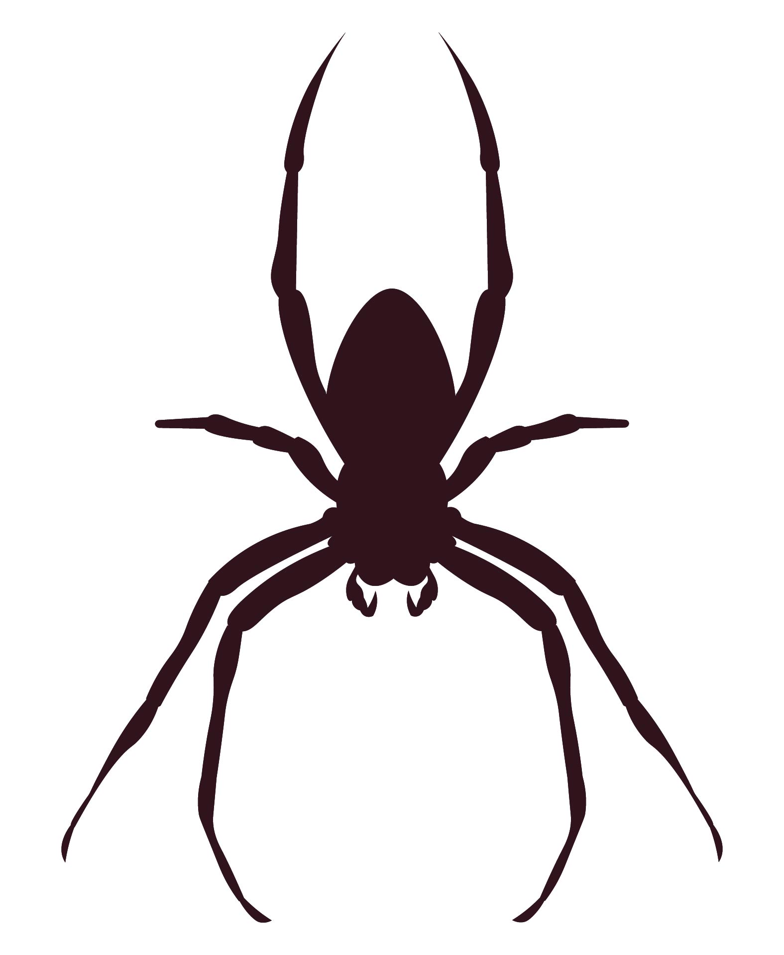 Spider Pumpkin Carving Templates