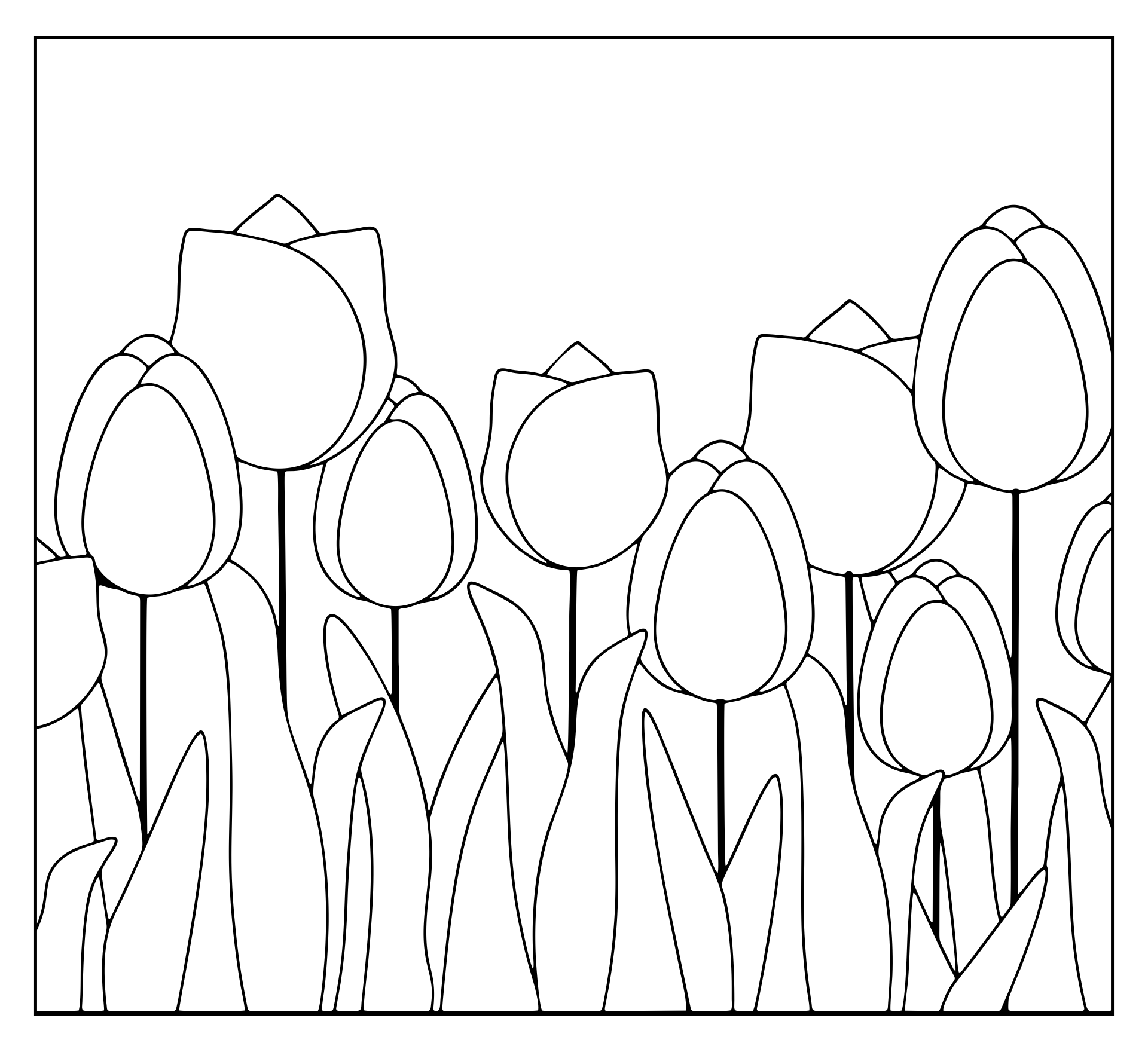 Printable Tulip Coloring Pages