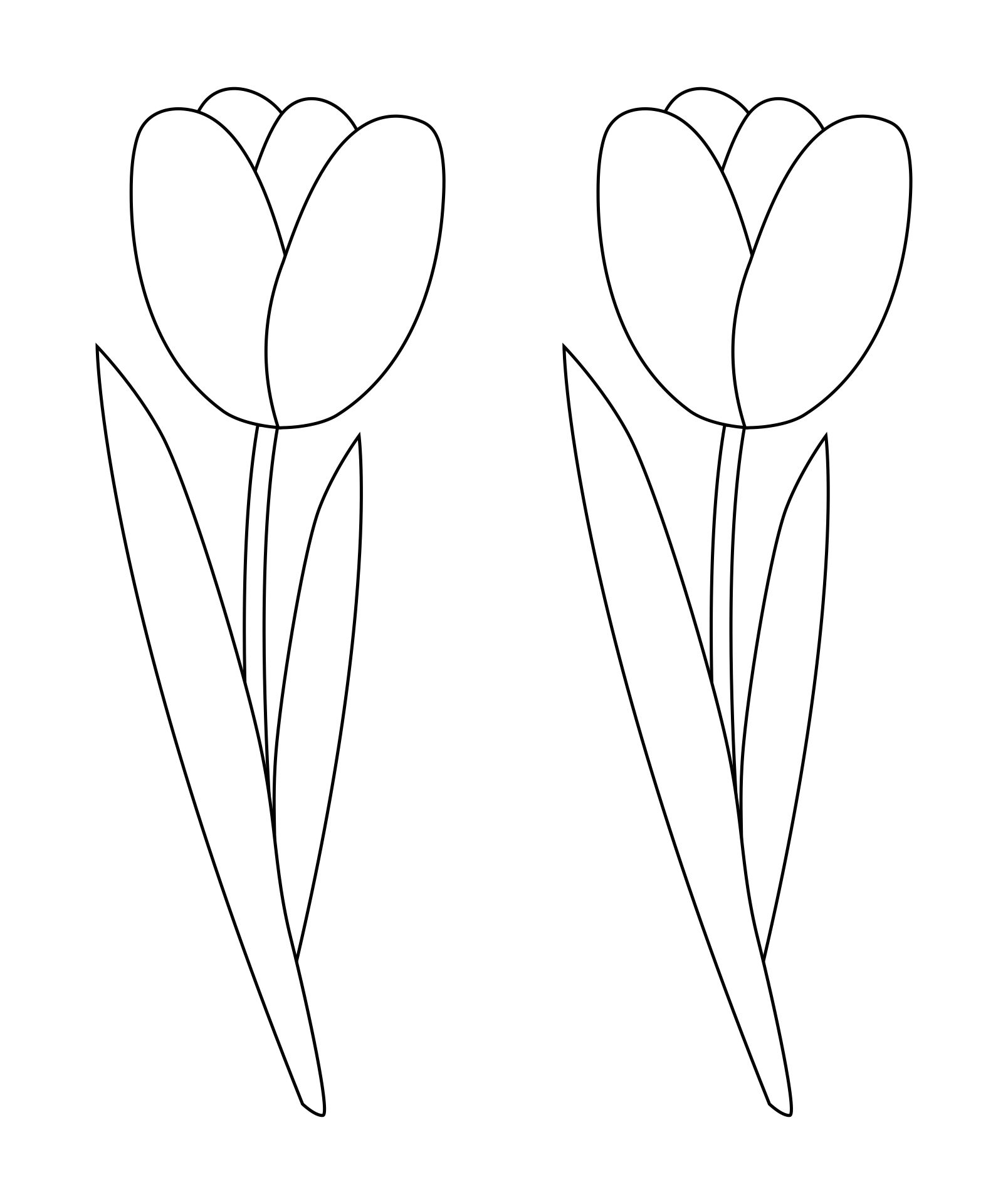 tulip-template-printable