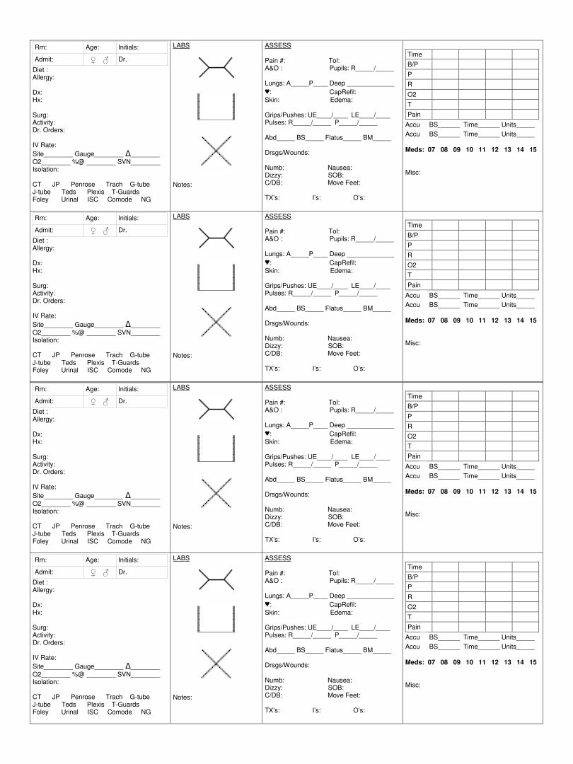 Printable Nurse Brain Sheet Editable