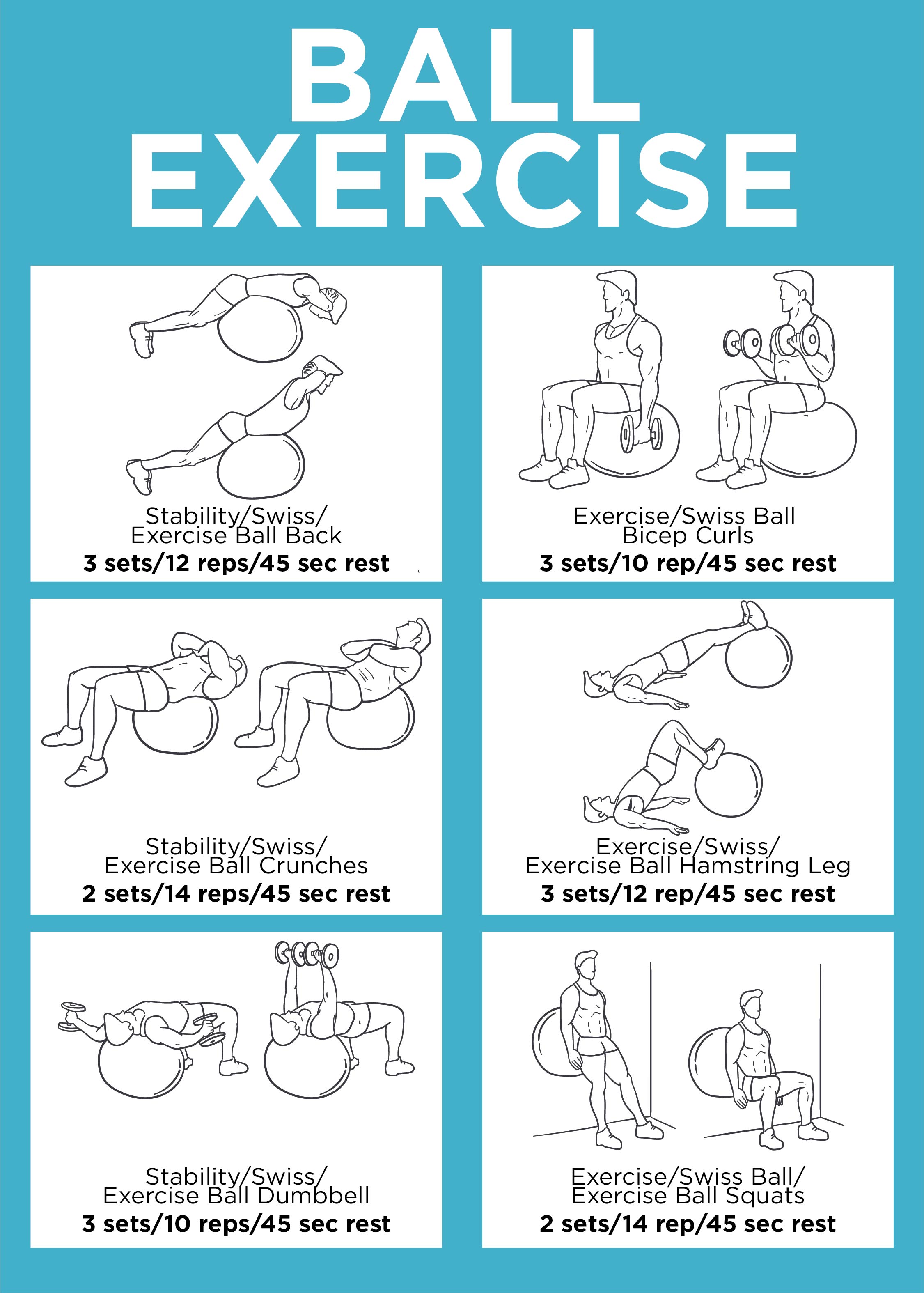 Back Exercise Chart