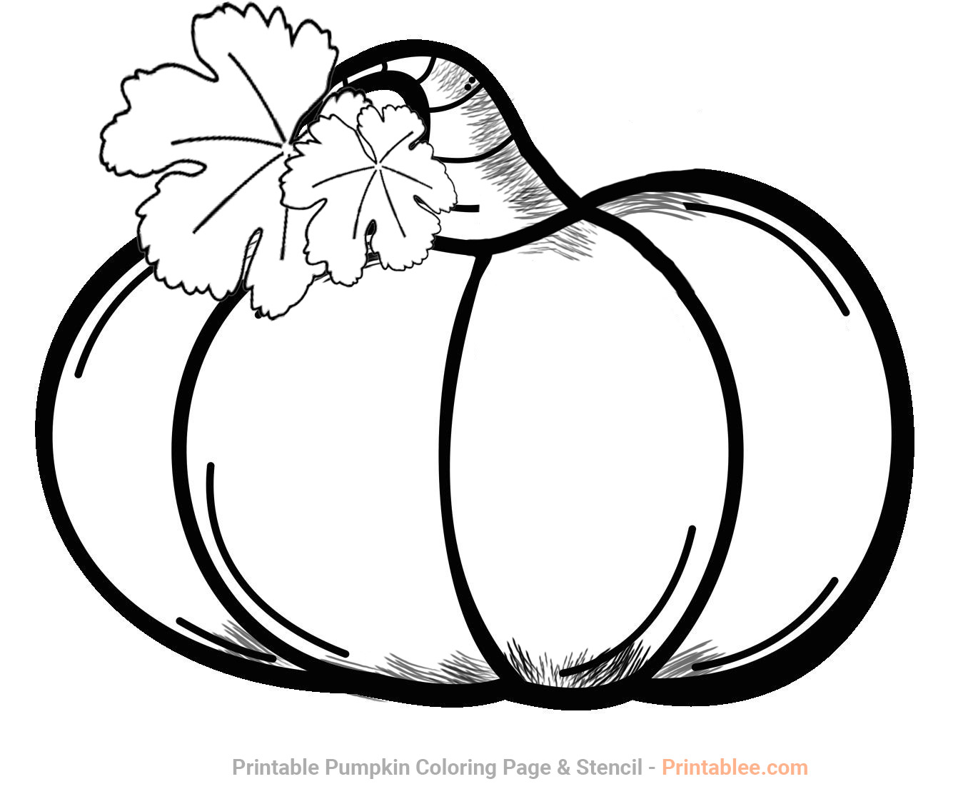 Printable Pumpkin with Leaves Coloring Page - Pumpkin Stencil & Pattern to Cut