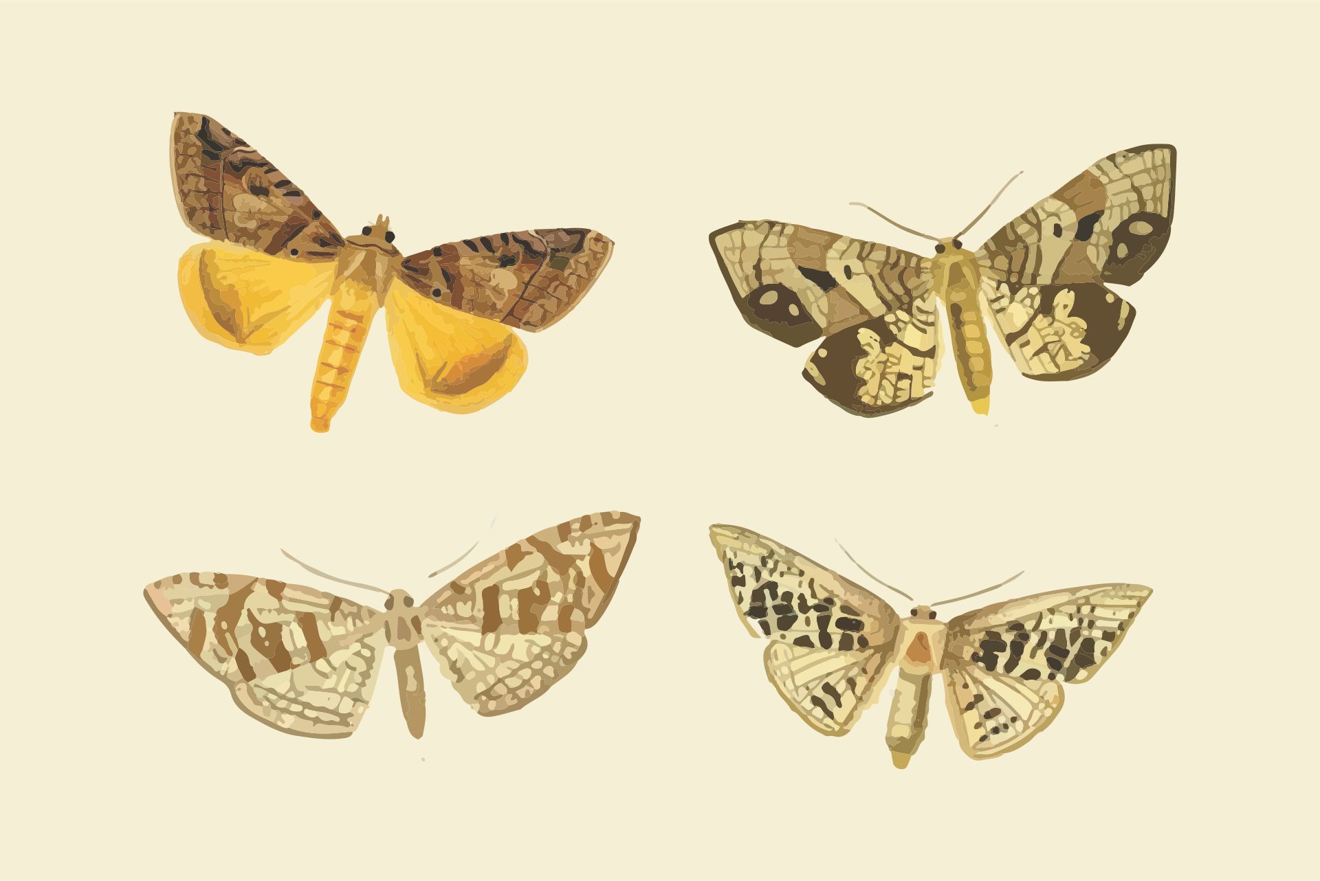 Printable Vintage Graphics Butterfly
