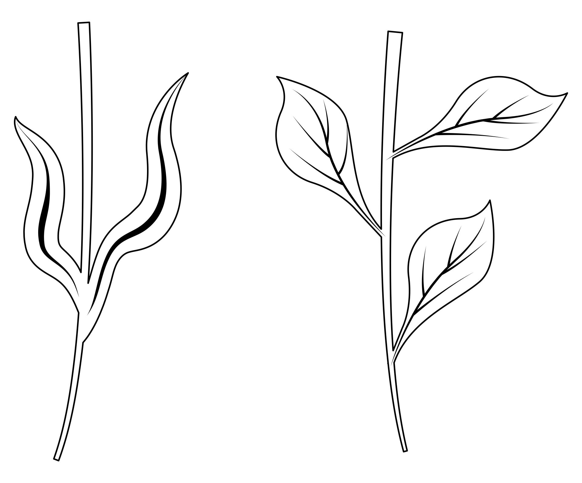 Flower Stem and Leaf Template