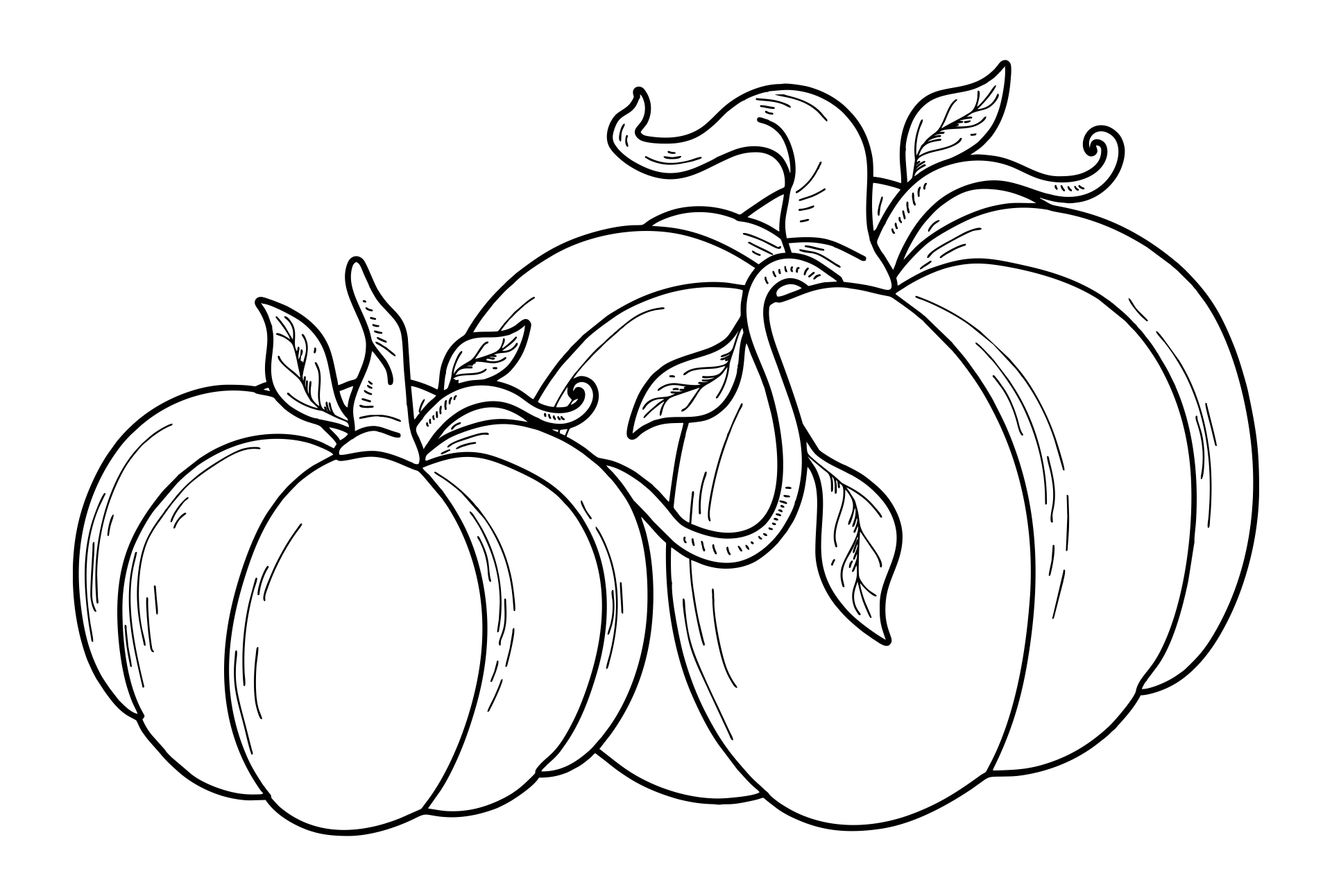 Pumpkin Coloring Pages Templates