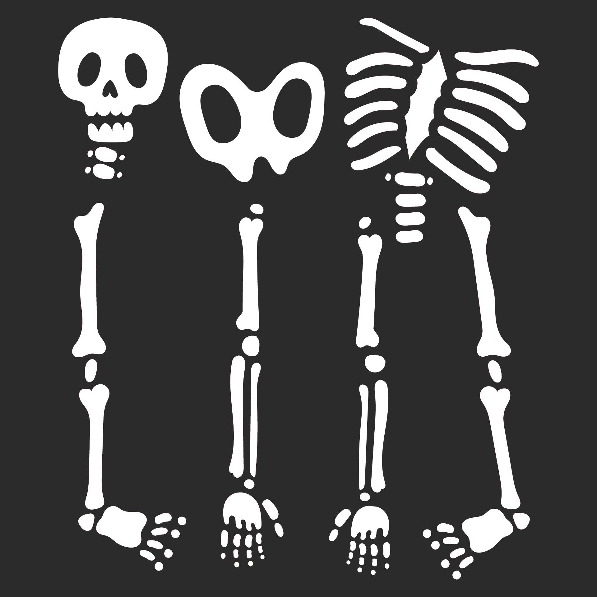 large printable skeleton parts