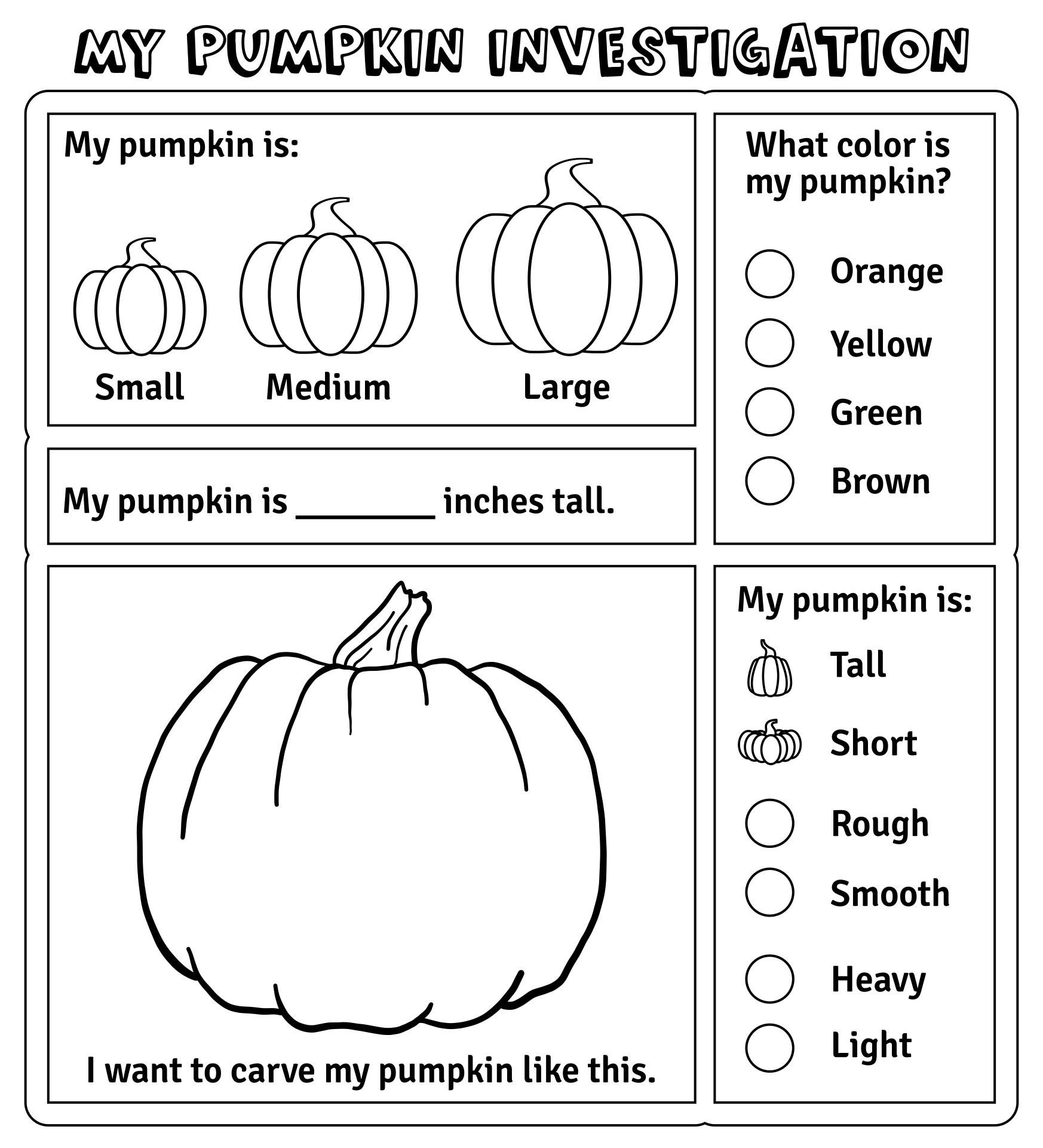 Pumpkin Investigation Activity