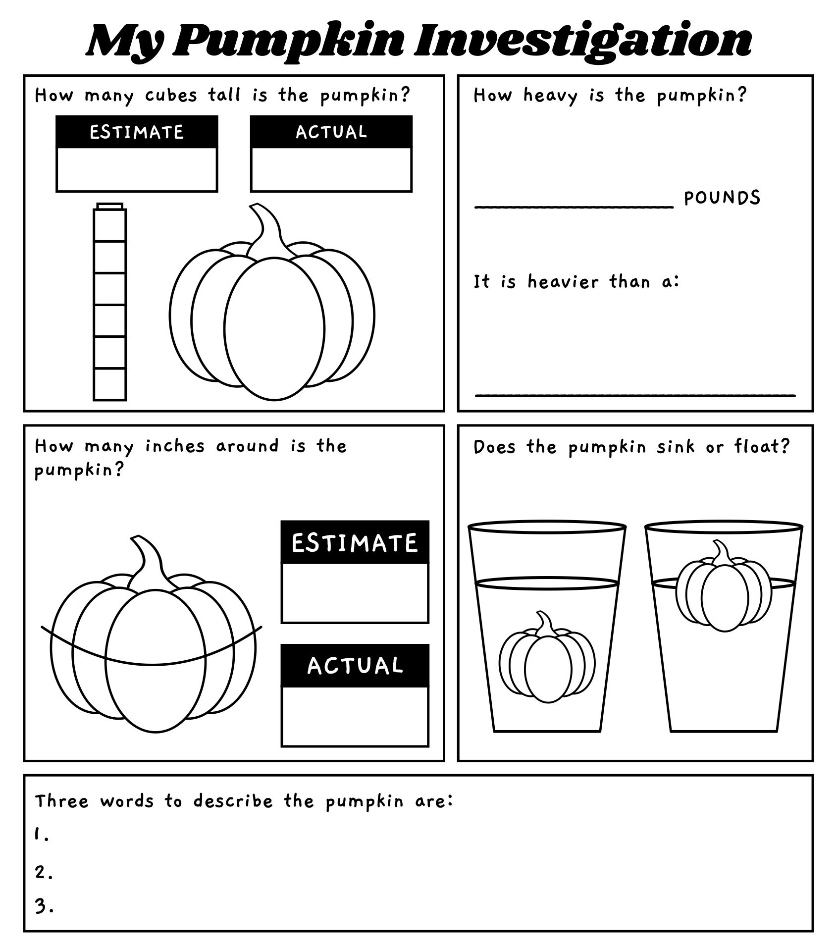 Pumpkin Investigation Sheet