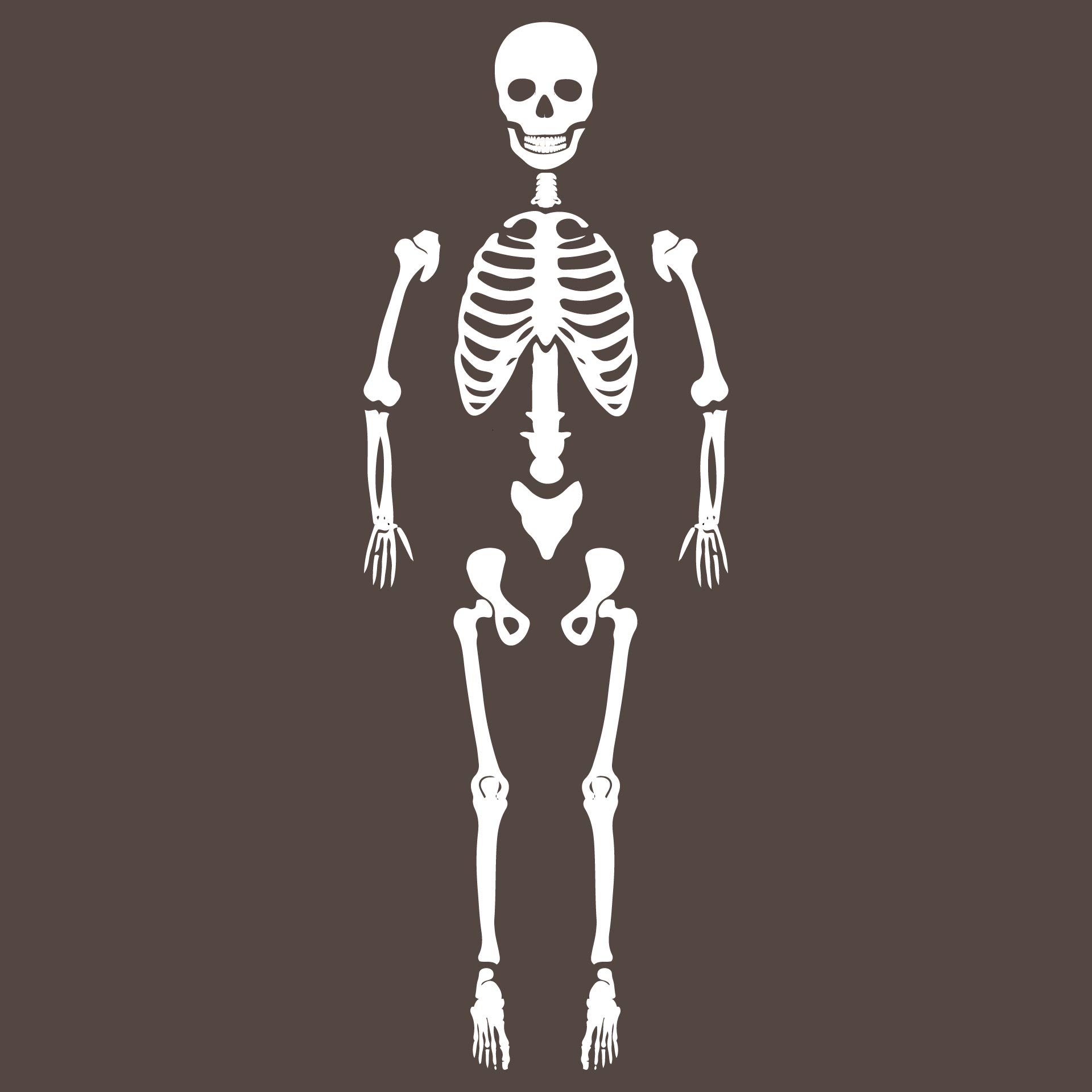 Skeleton Body Coloring Pages