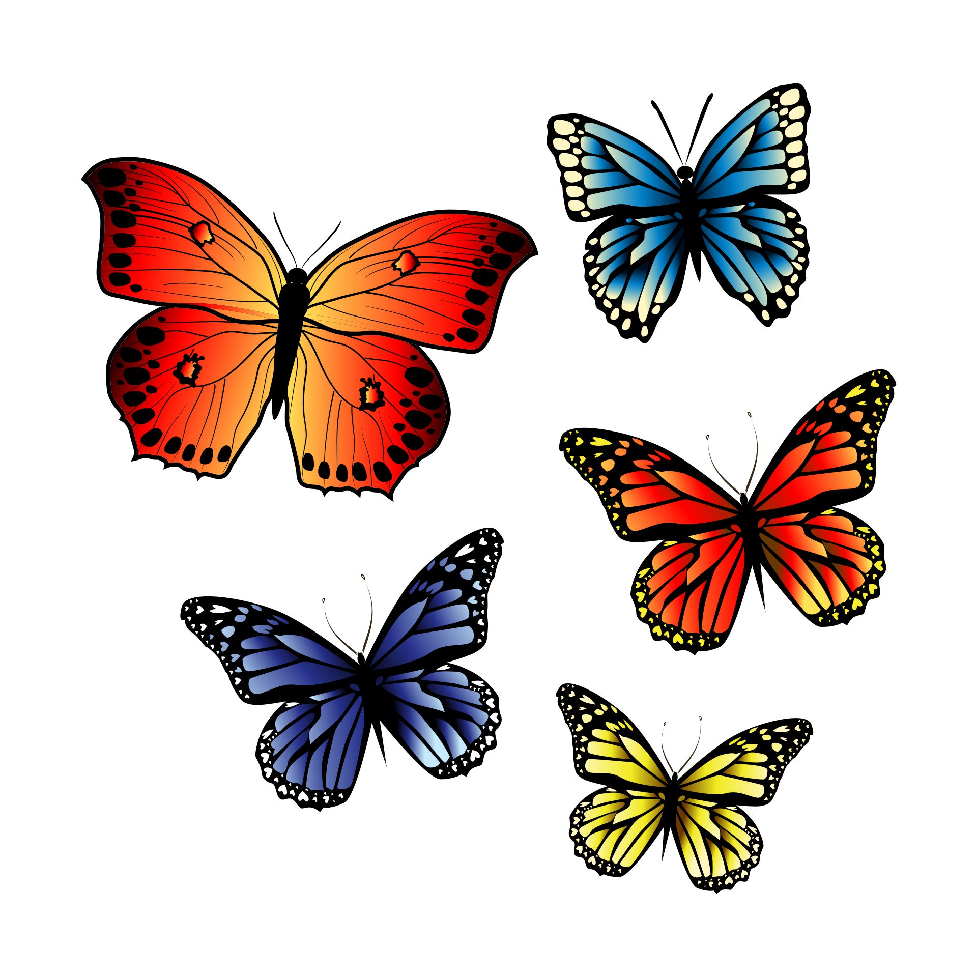 Clip Art Butterfly Wings Pattern