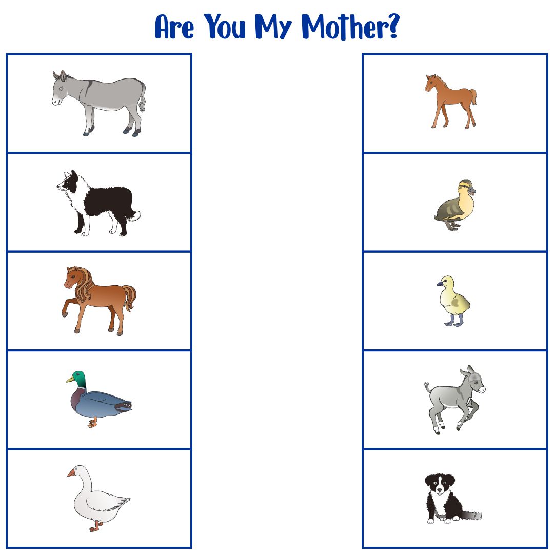 baby animals match answer