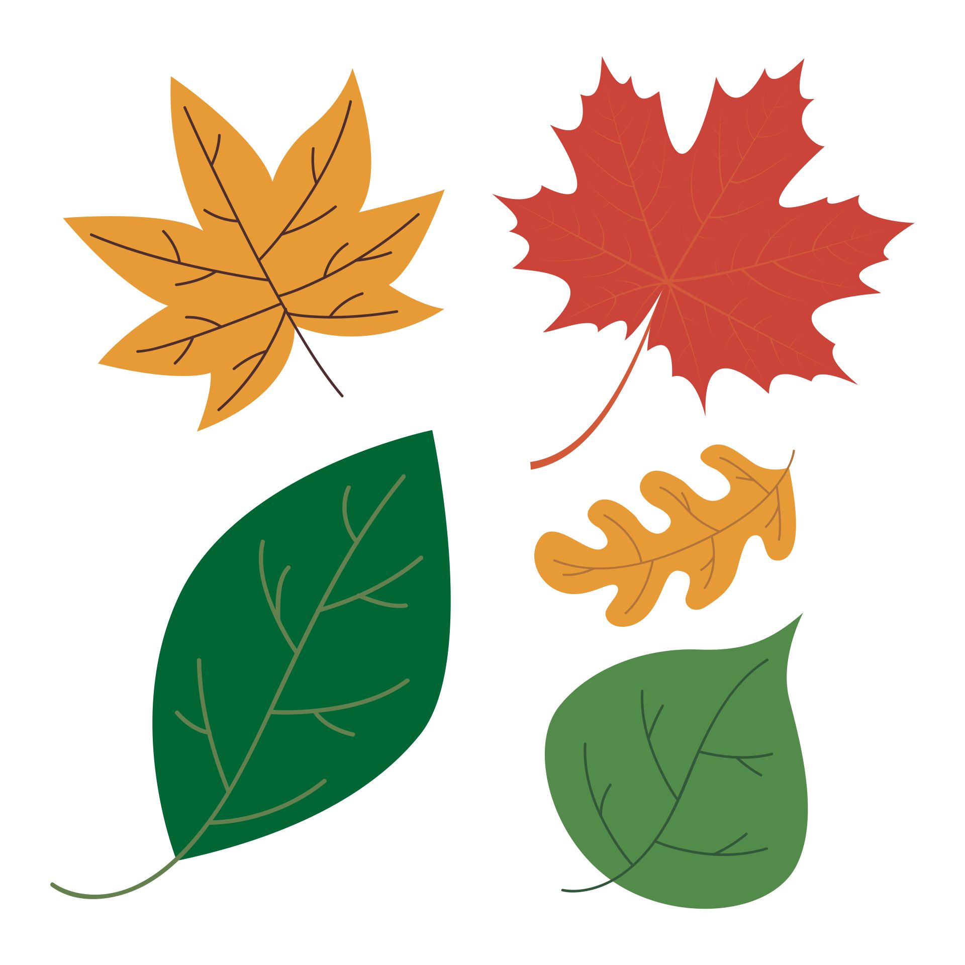 7 Best Fall Leaves Worksheets Printables