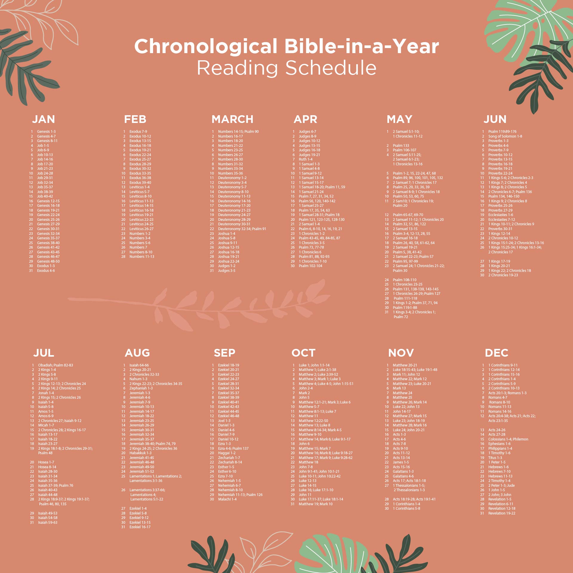 One Year Chronological Bible Reading Plan Printable