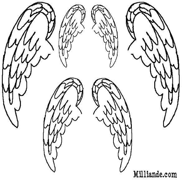 6 Best Images of Wings Template Printable - Angel Wing Templates ...