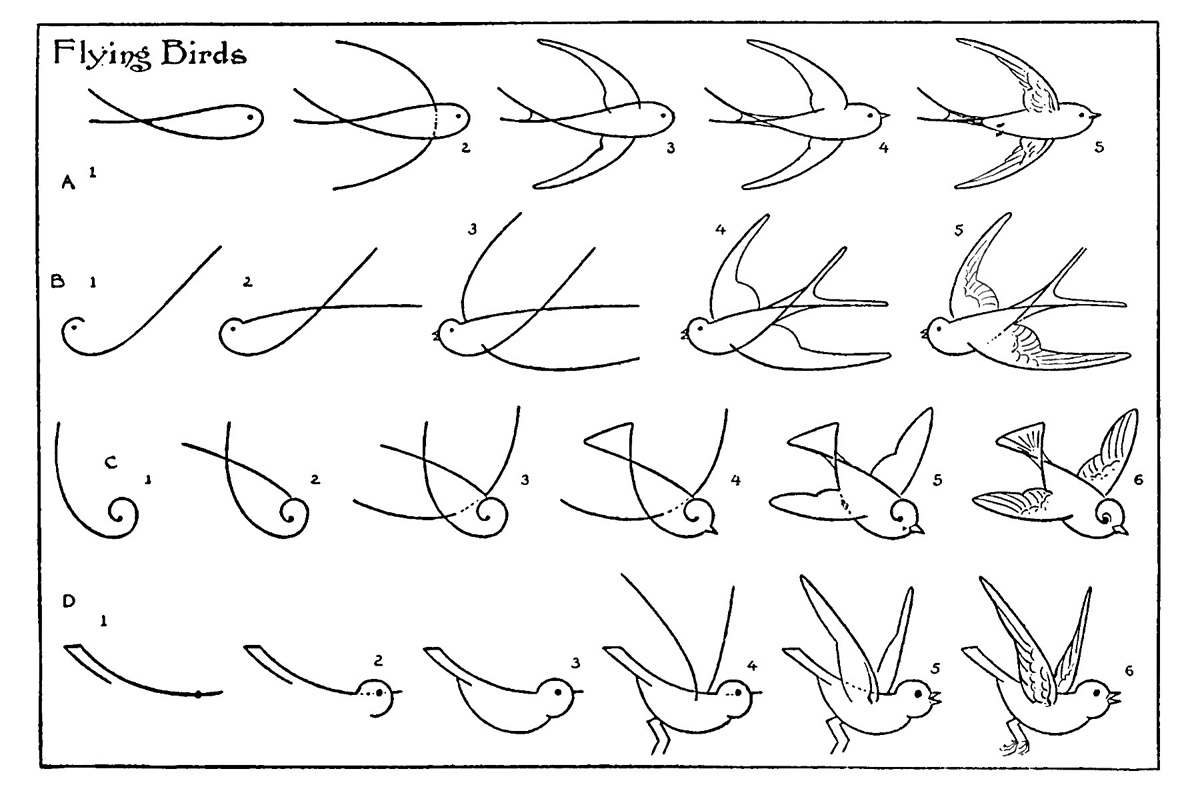 8 Best Images of Printable Easy Cute Drawings - How to Draw a Pug Dog