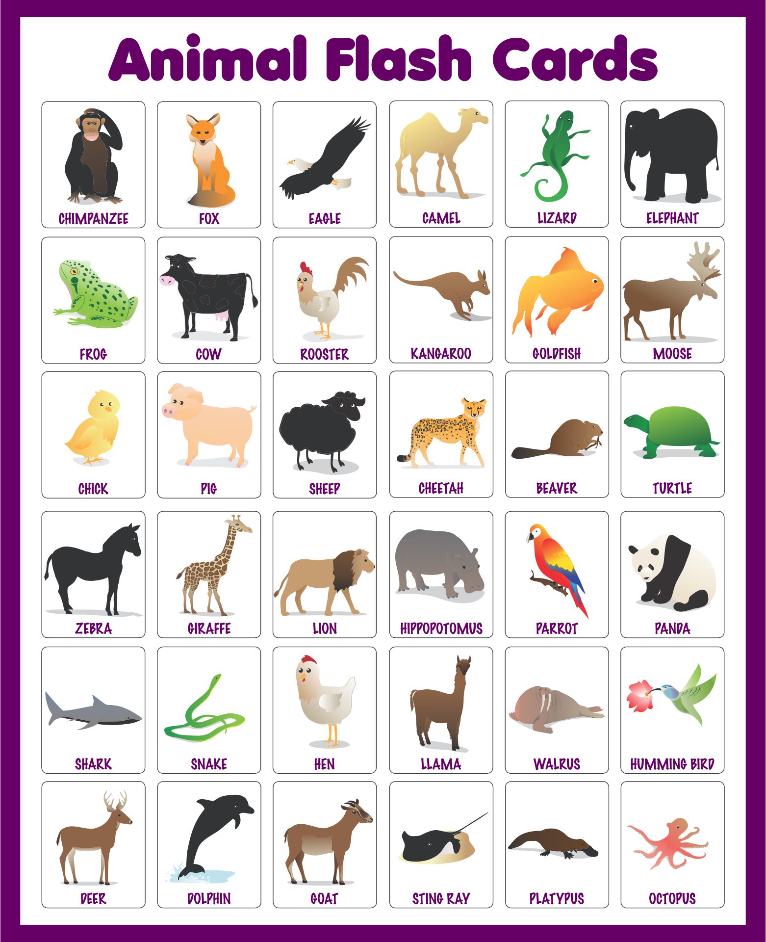 Real Animal Flashcards Free Printable