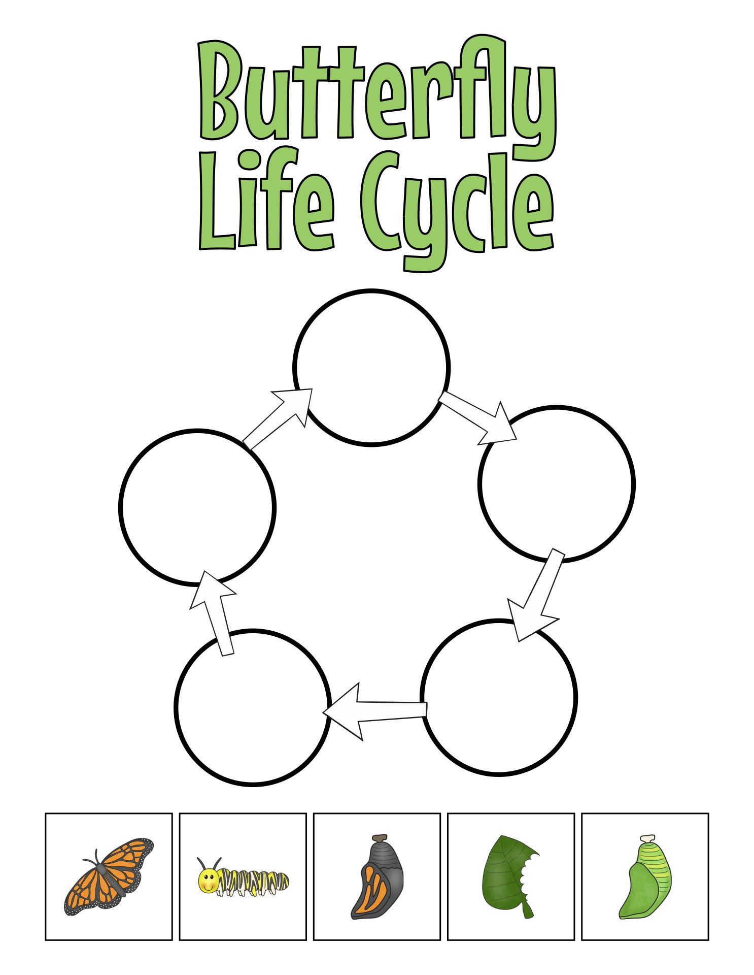 Printable Life Cycle of a Butterfly Worksheet