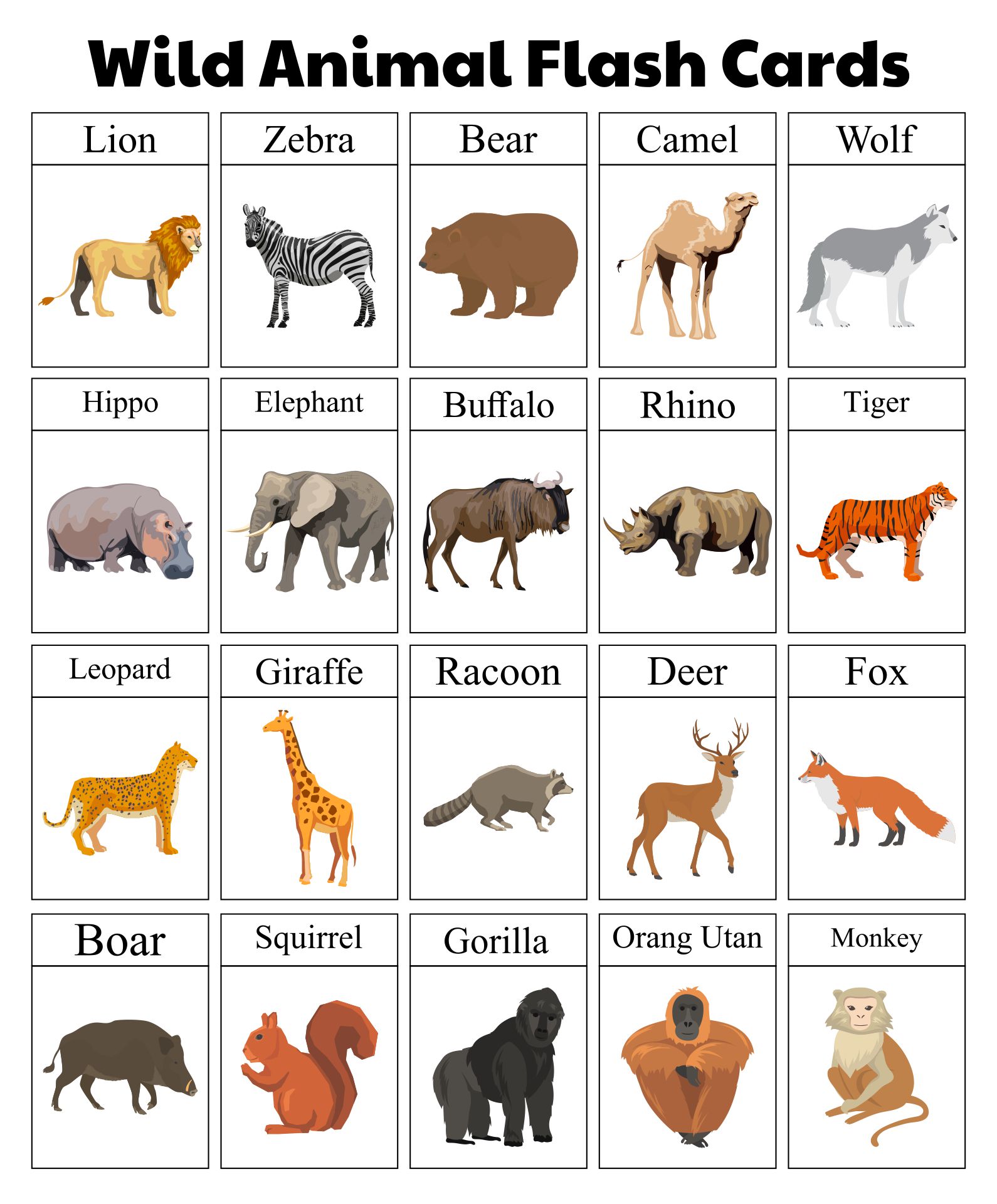 10 Best Free Printable Animal Flash Cards Printablee