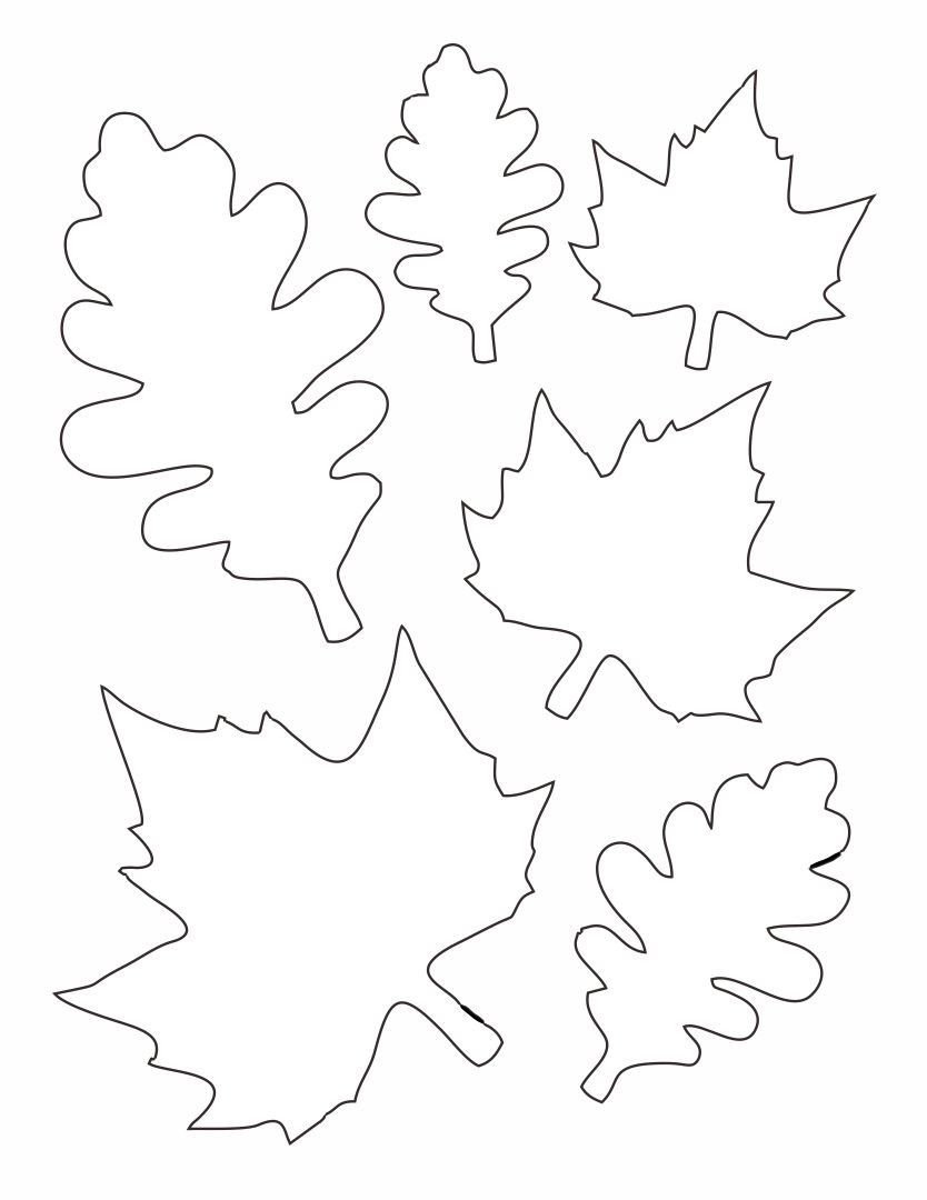 Paper Printable Leaf Patterns