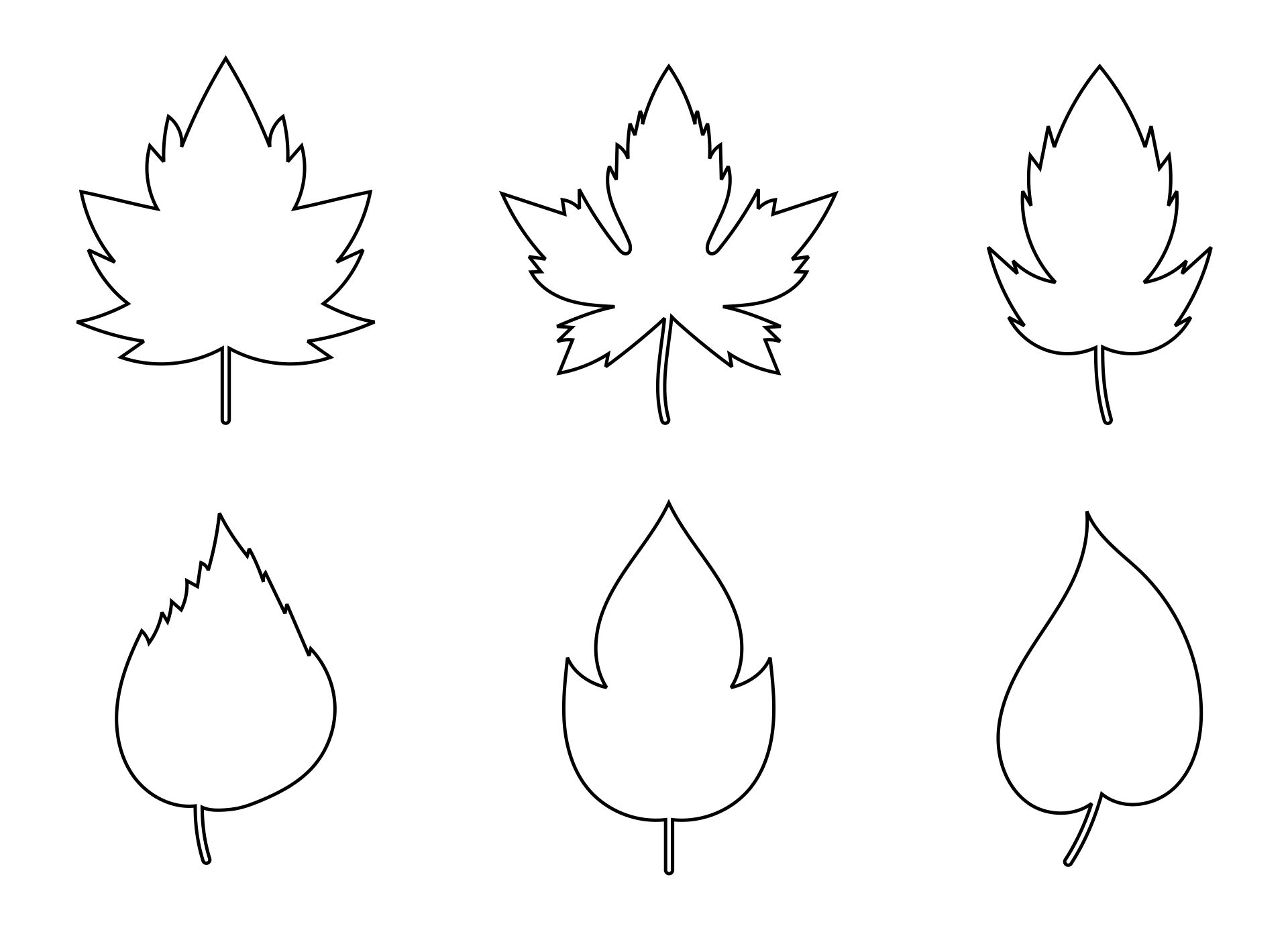 6 Best Paper Printable Leaf Patterns