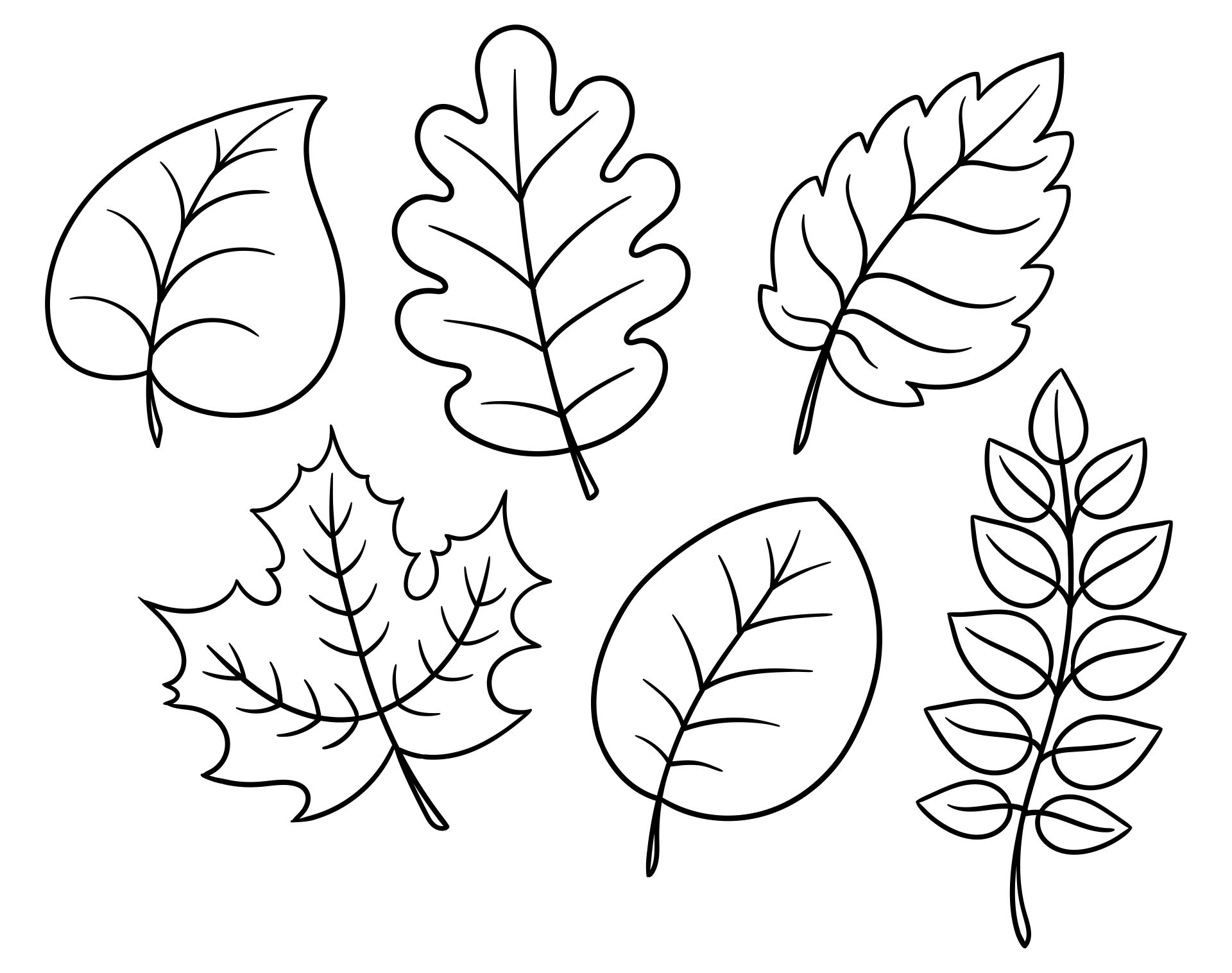 Leaves Printable Cut Out Template