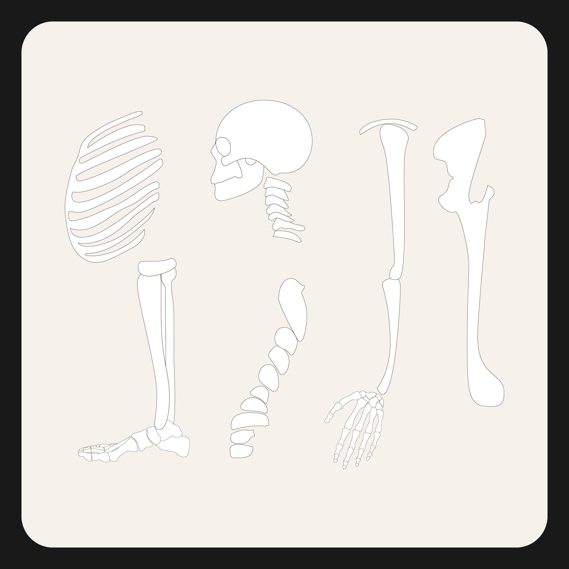 Skeleton Template Printable