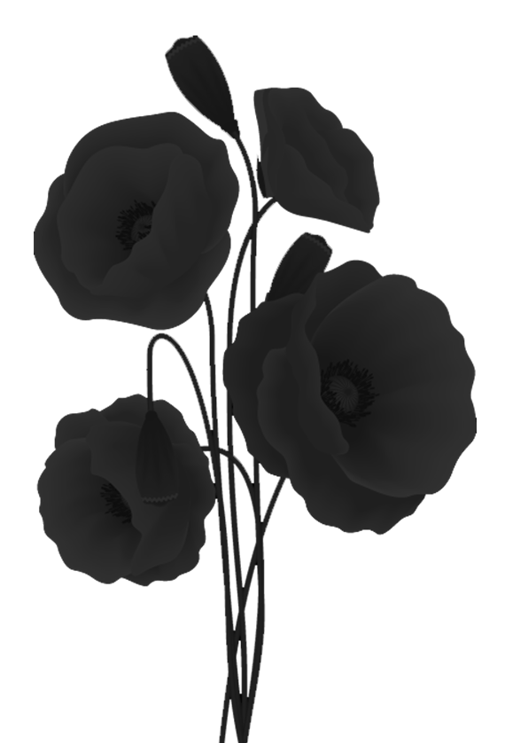 Transparent poppy flower stencil design - poppyflower pattern in black and white