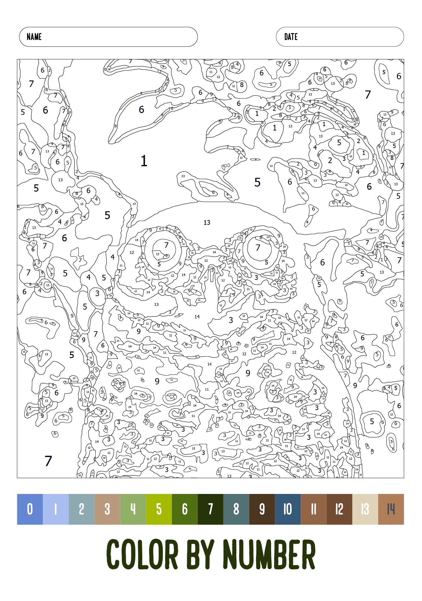 Adult Color by Number Coloring Pages