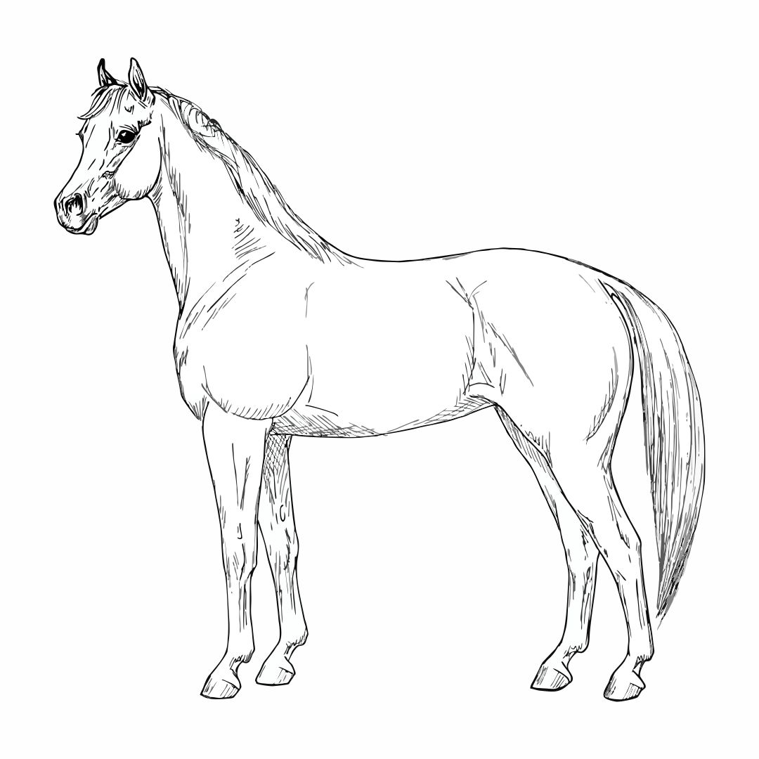 Horses Paint By Number 10 Free PDF Printables Printablee horses-paint-by-number-10-free-pdf-printables-printablee