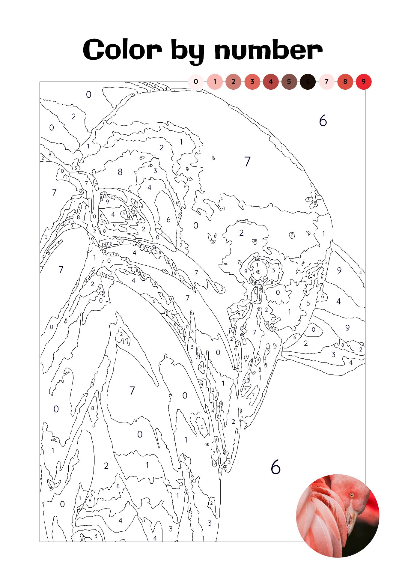 Printable Adult Color by Number Coloring Pages