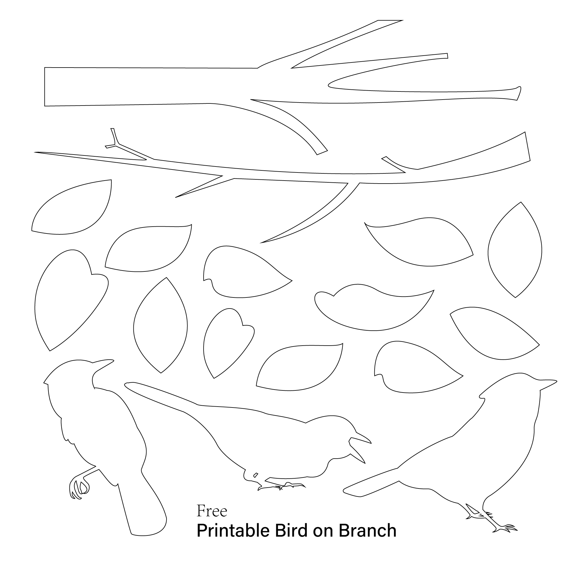 Bird Template Printable