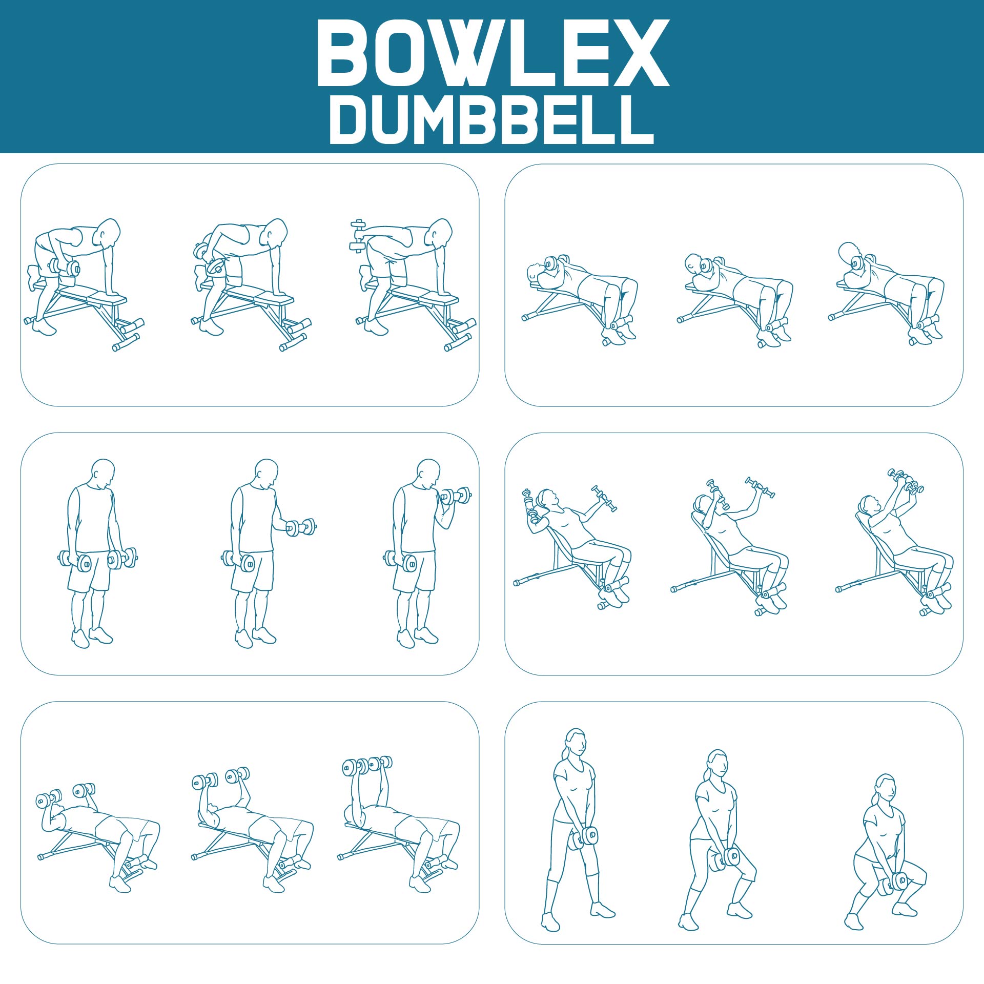 Bowflex Dumbbell Workout Chart