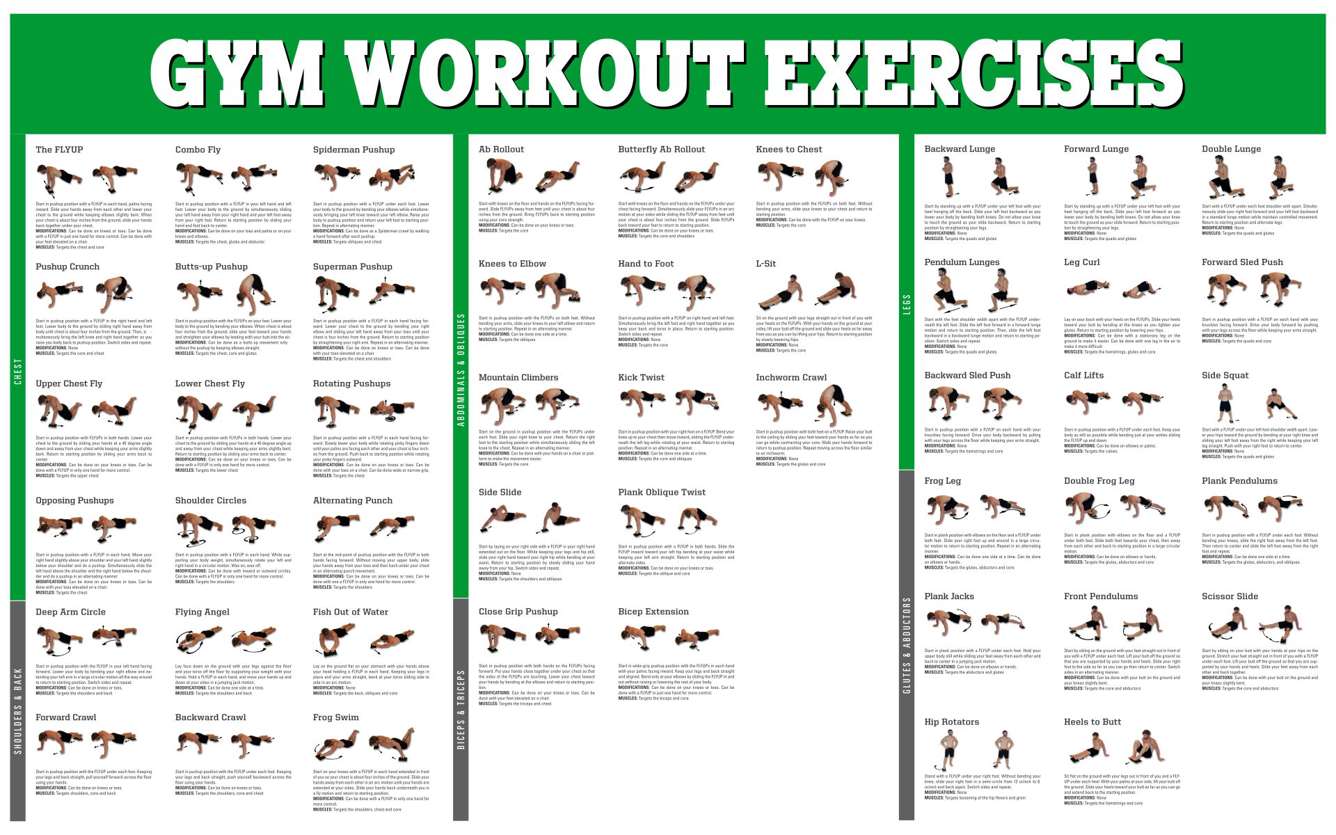 Gym Workout Exercises Chart