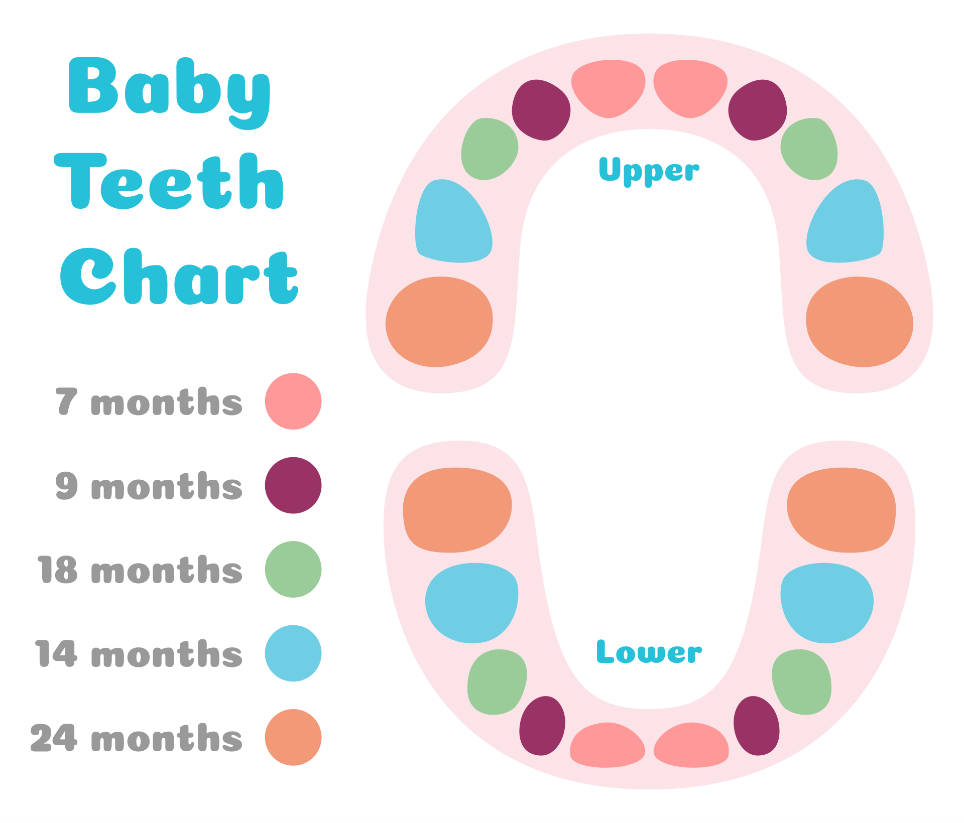Tooth Chart Full Sheet 15 Free PDF Printables Printablee tooth-chart-full-sheet-15-free-pdf-printables-printablee