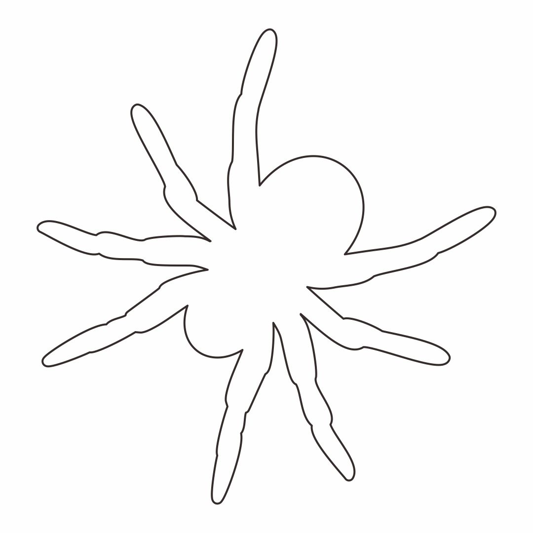 Printable Spider Template