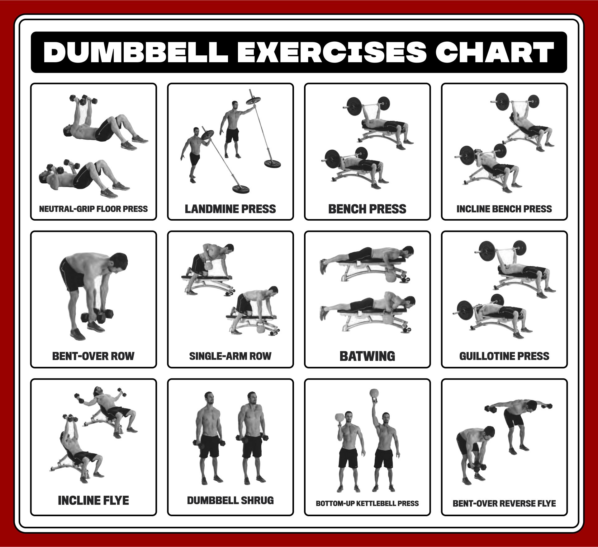 Dumbbell Exercises Chart Printable