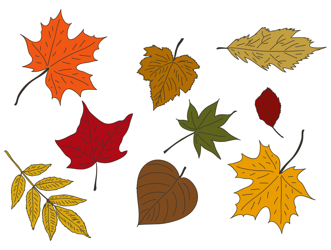 Fall Pictures Printable fall-pictures-printable