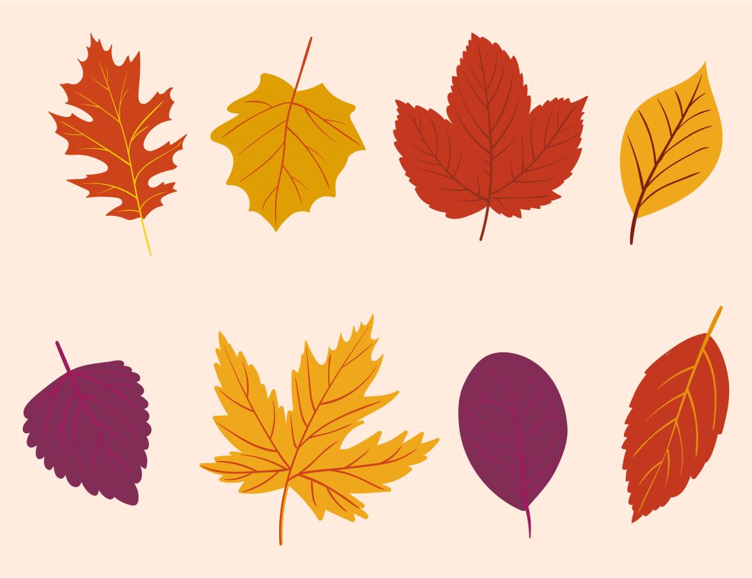 Printable Autumn Leaves Decor