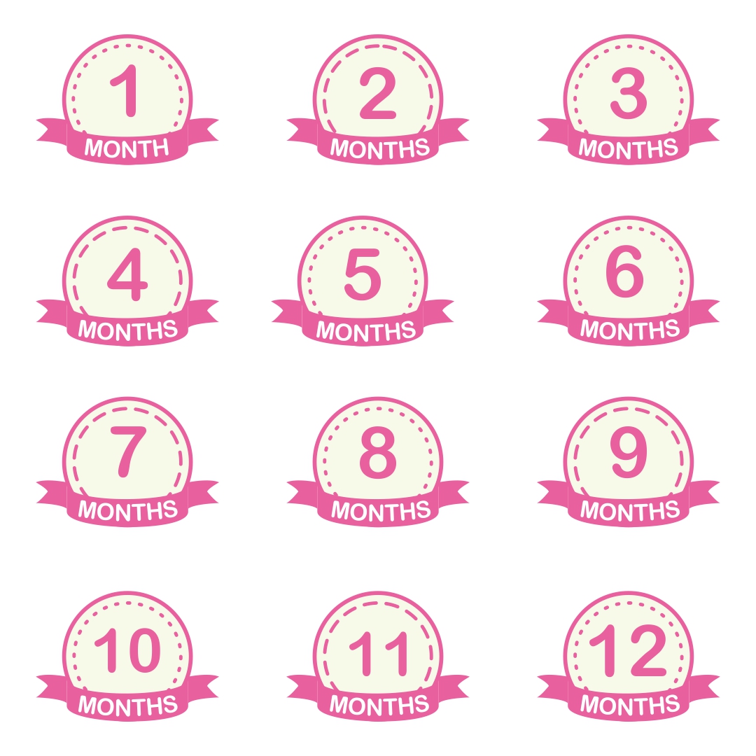 9 Best Free Printable Baby Monthly Signs Printablee Com
