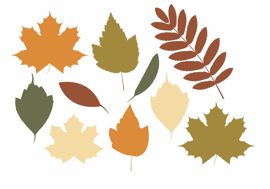 Printable Fall Leaves Template