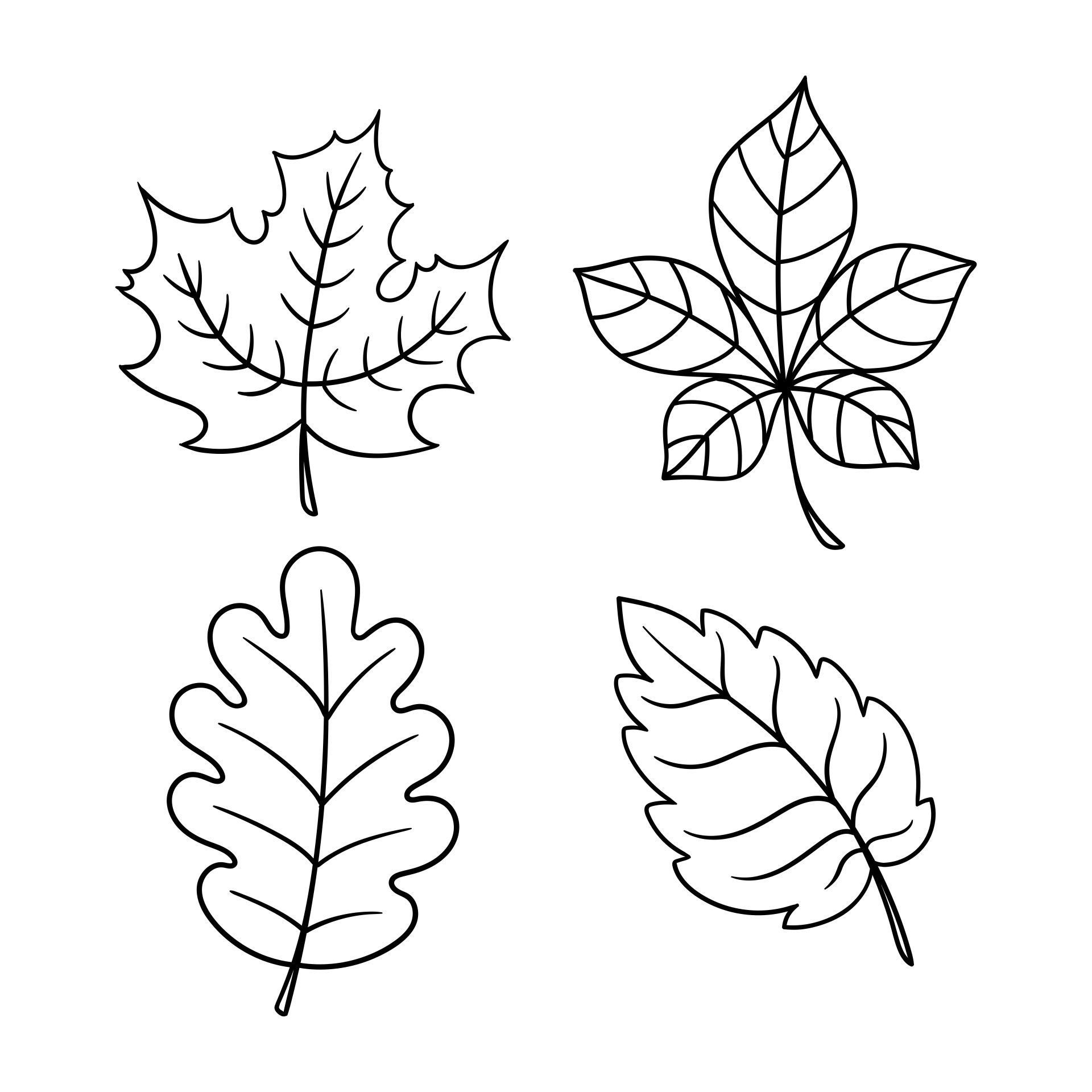 Printable Fall Leaves to Color
