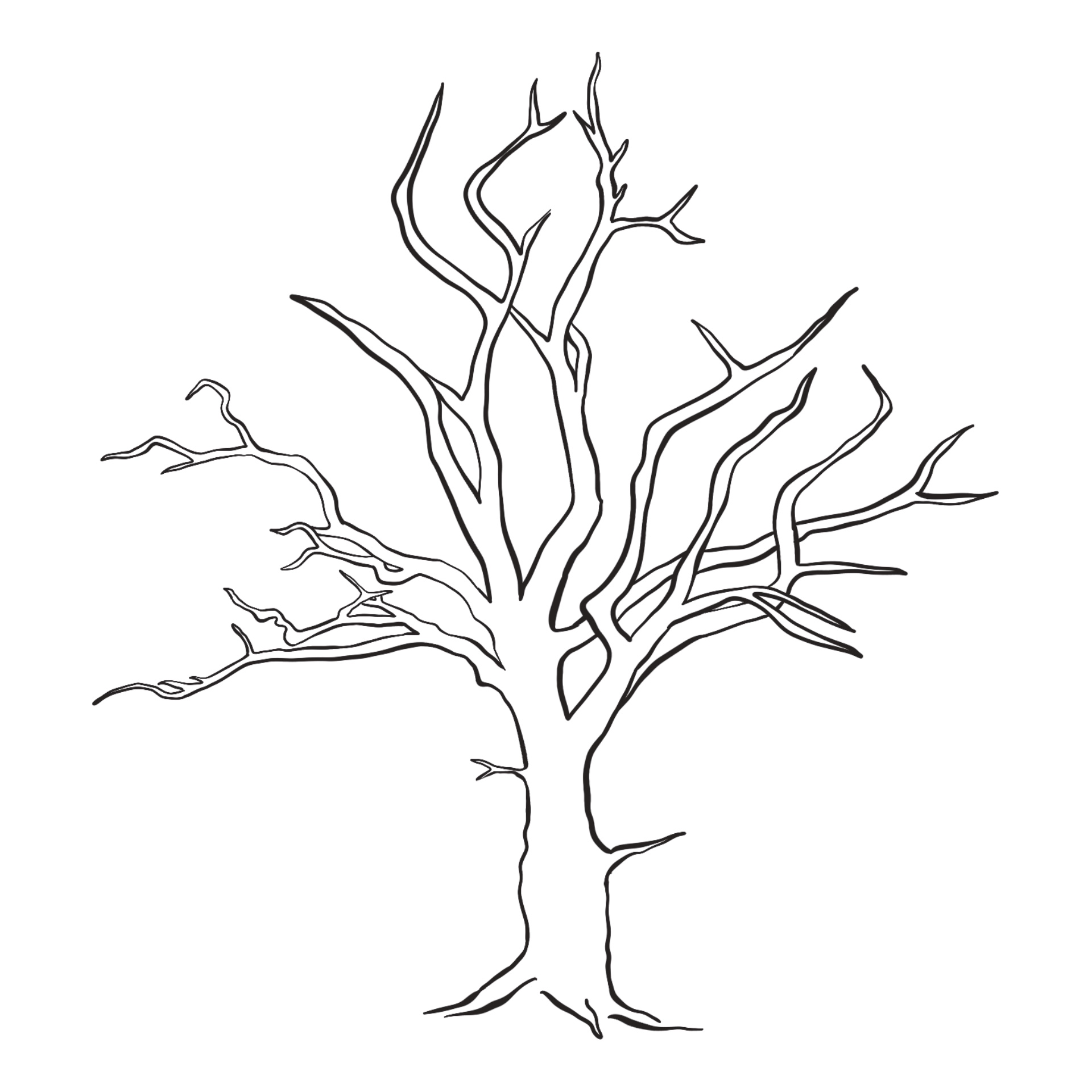 Tree without Leaves Coloring