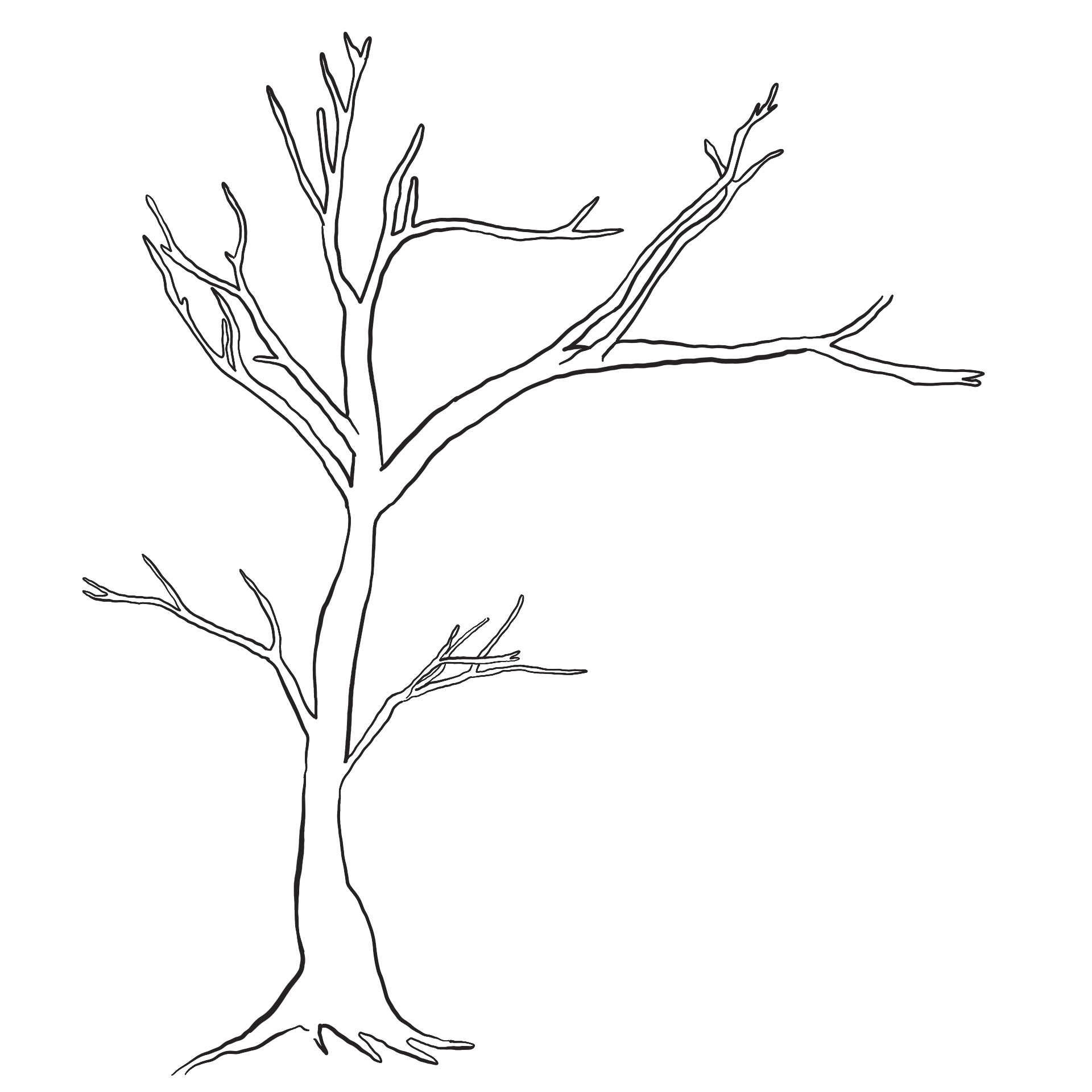 Trees without Leaves Coloring Pages