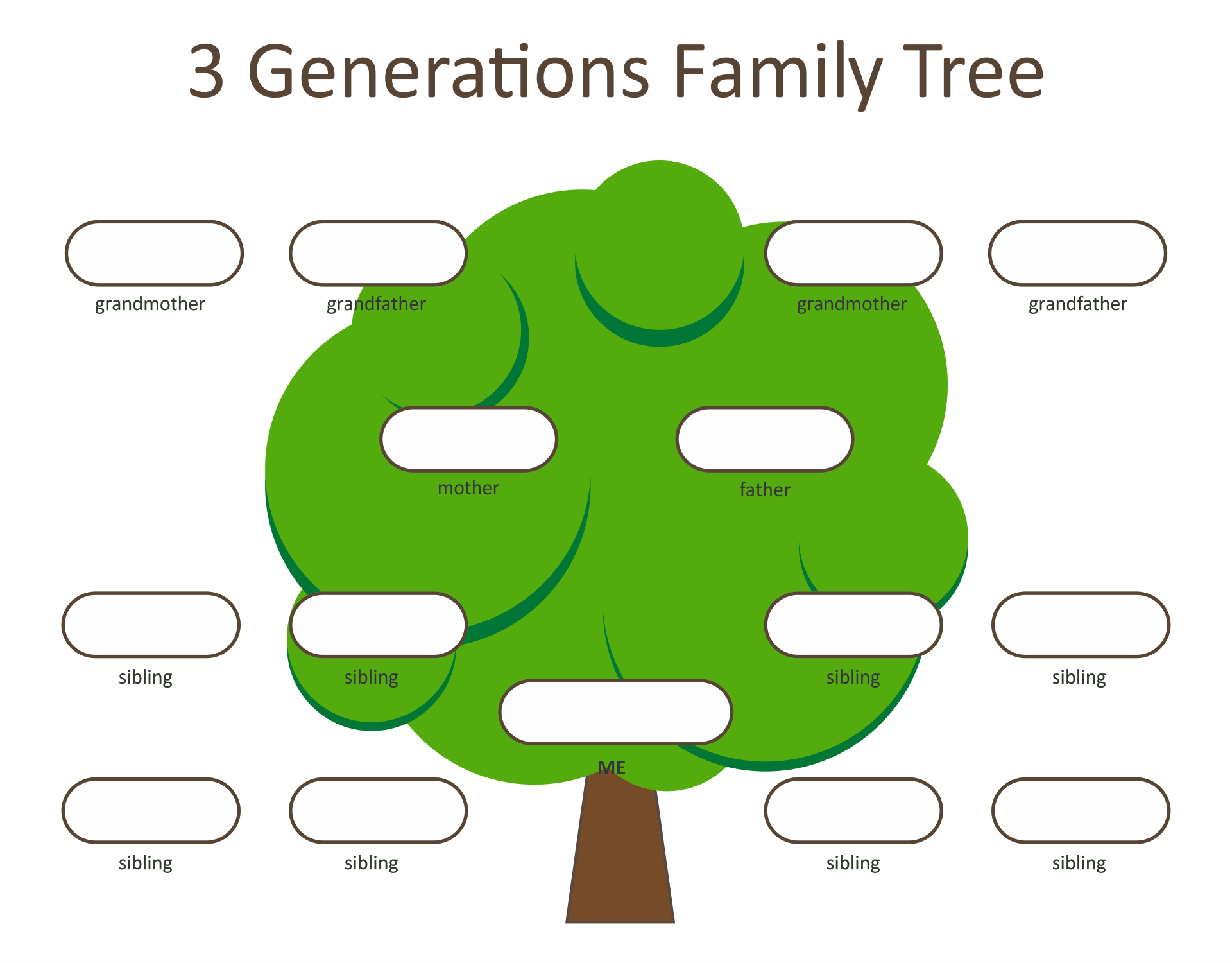 3 Generation Family Tree Template