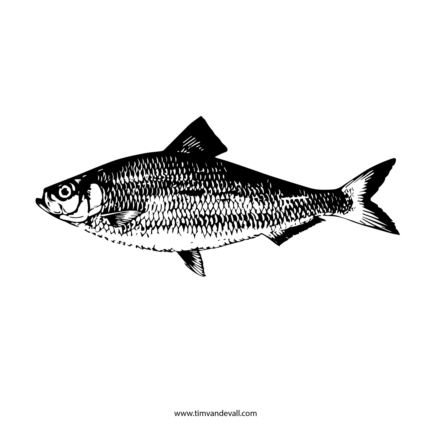 Printable Fish Stencils