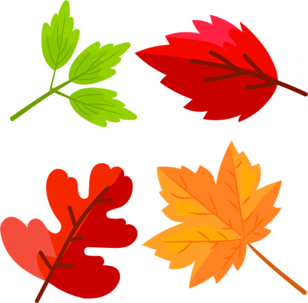 5 Best Printable Leaf Pattern Template