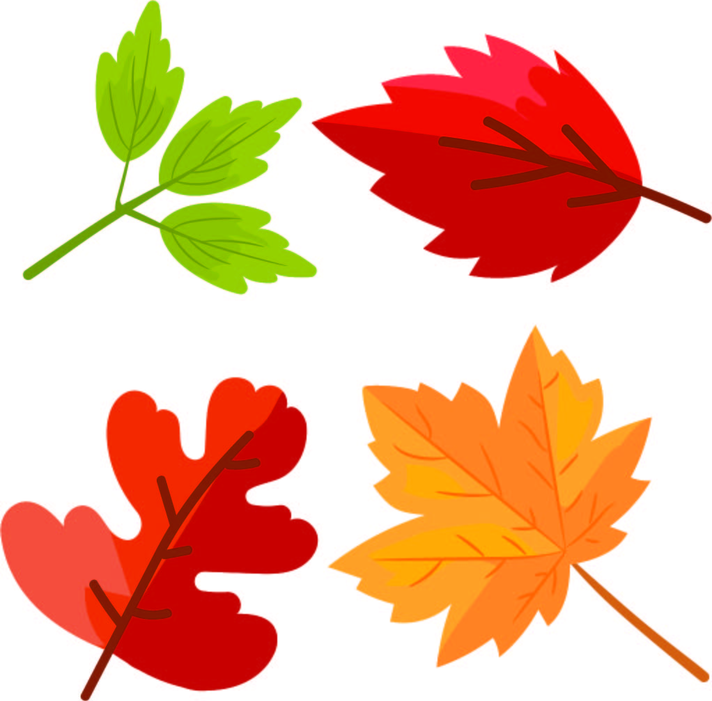 Free Printable Autumn Leaves Template