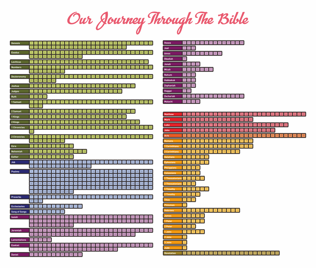 12-best-books-of-bible-chart-printable-printablee